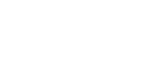 Wild Mongoo