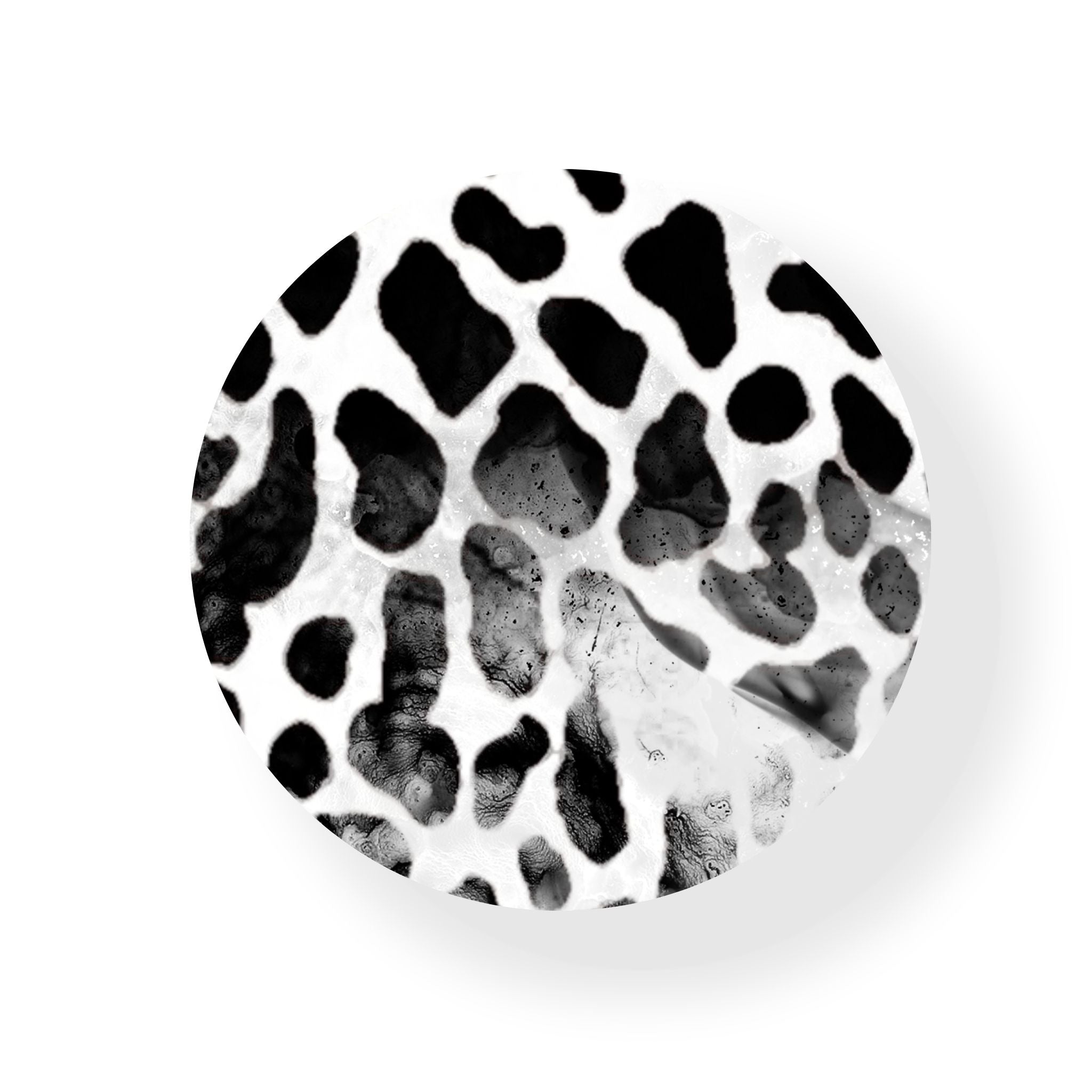 Animal Print Coaster