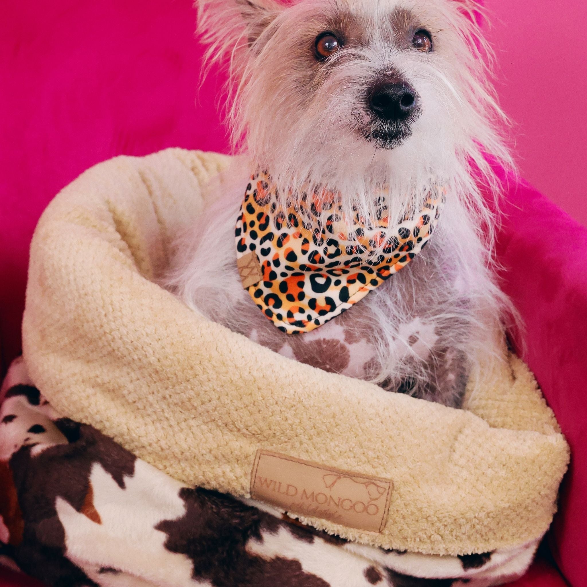 Animal Print Pet Bed