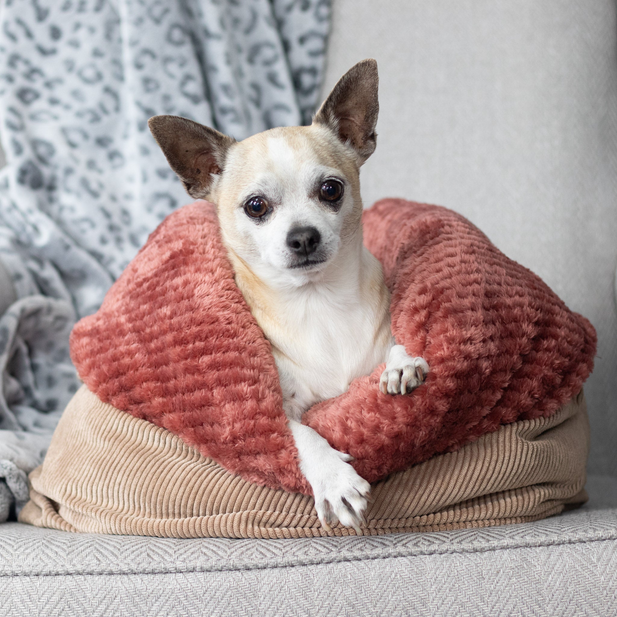 Brown Pet Bed