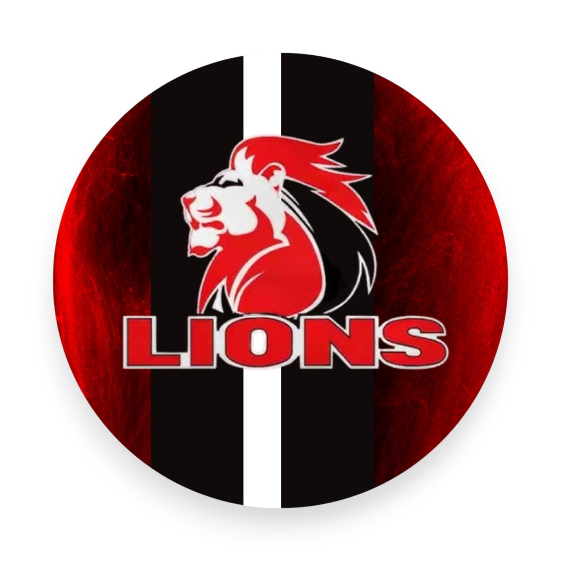 Lions Rugby Coaster