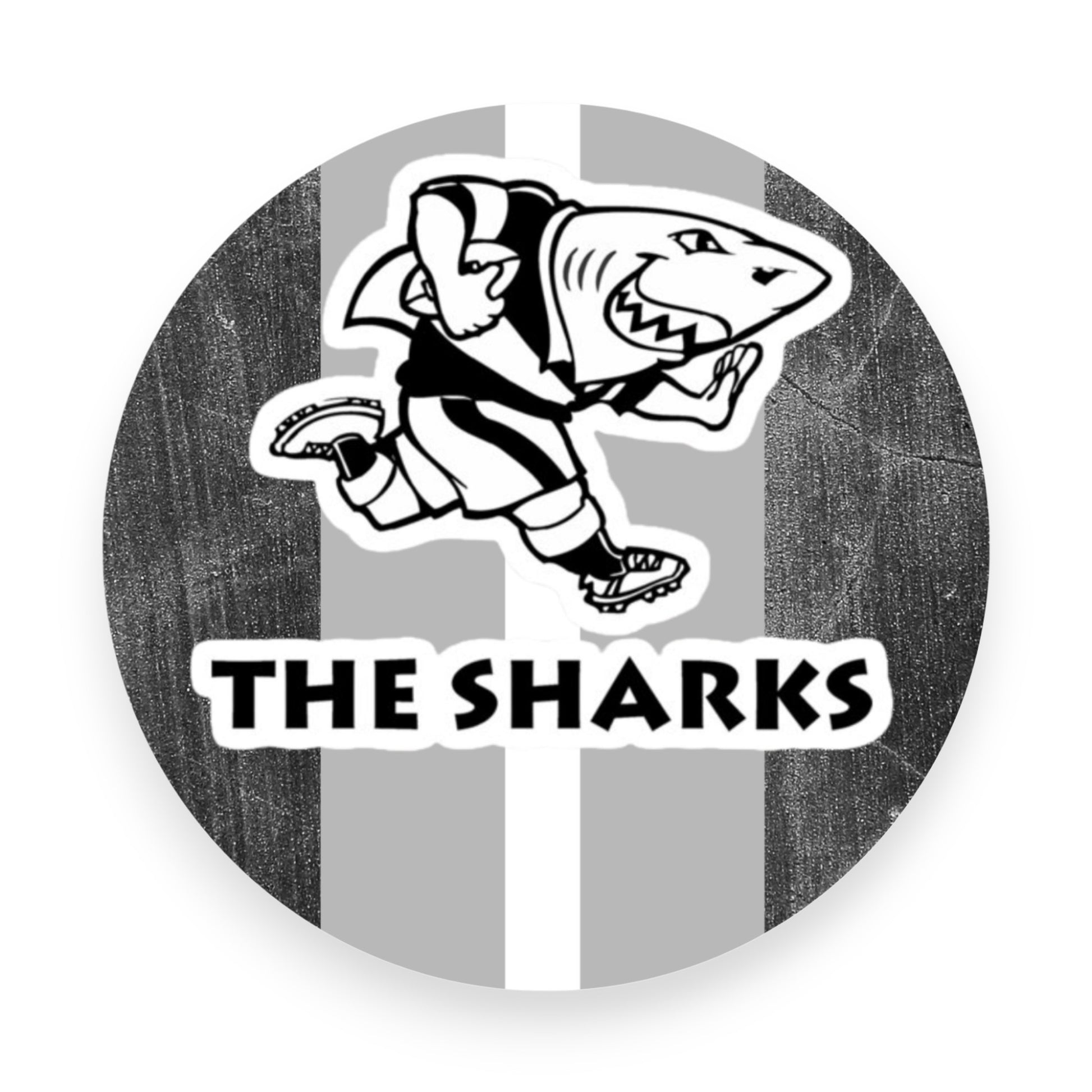 Sharks Rugby Coaster