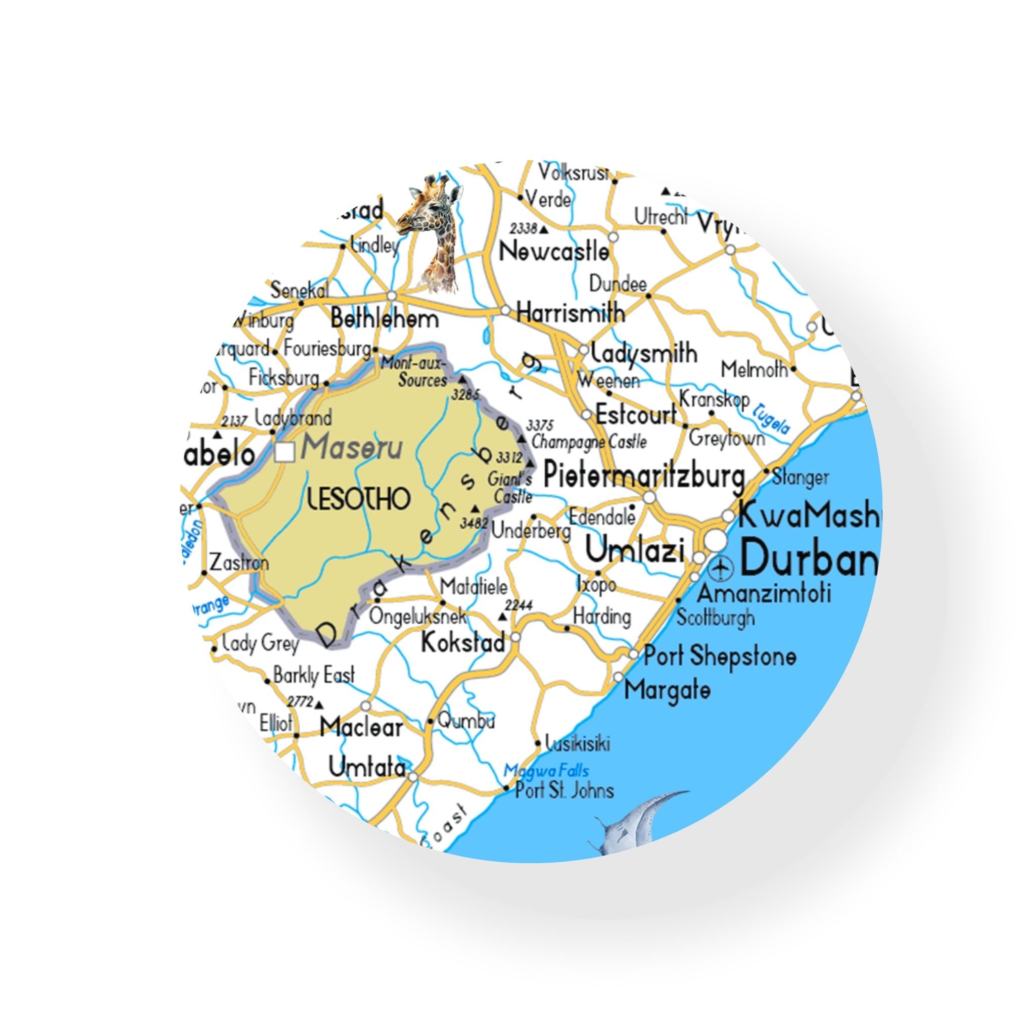 SA Map Coaster