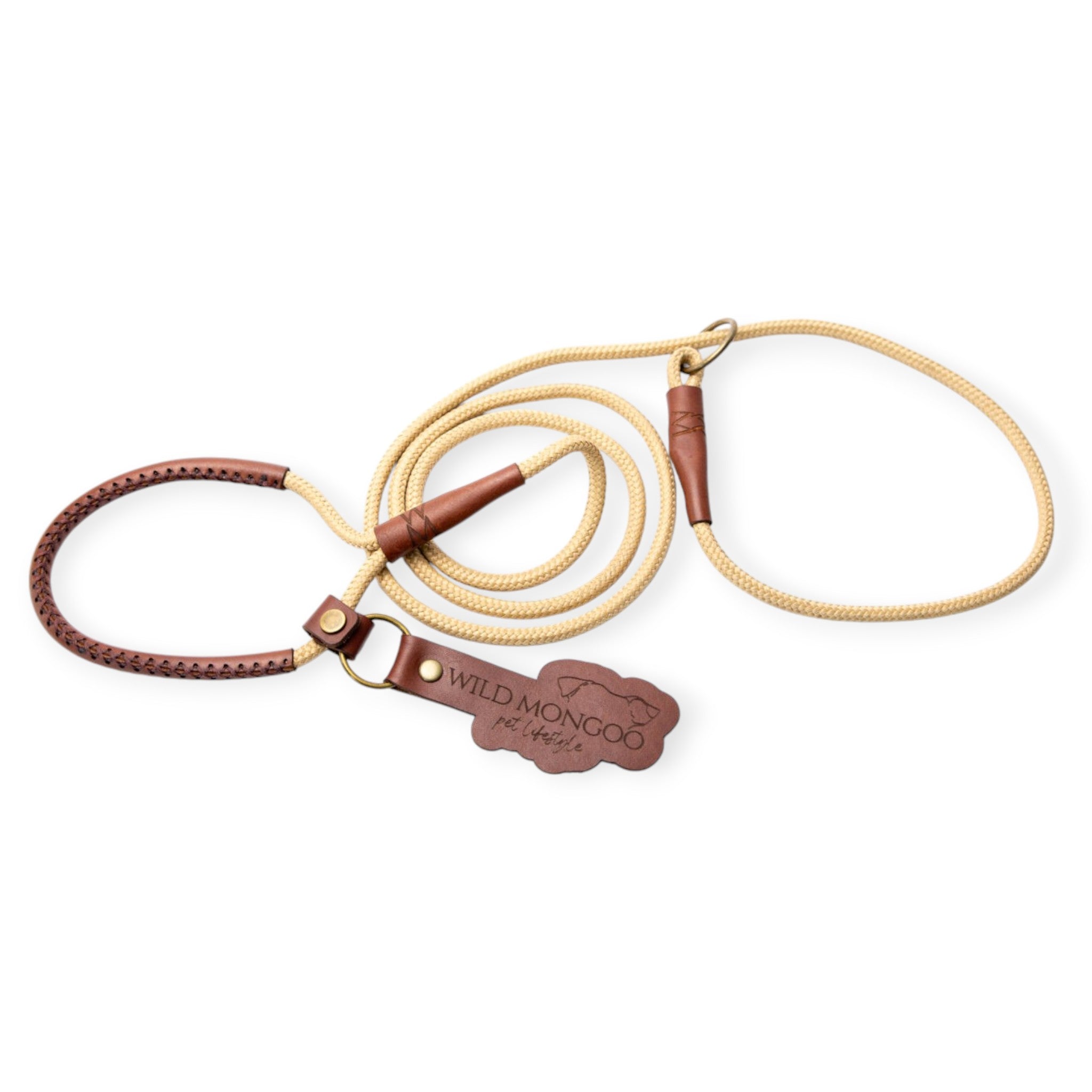 Active Leash
