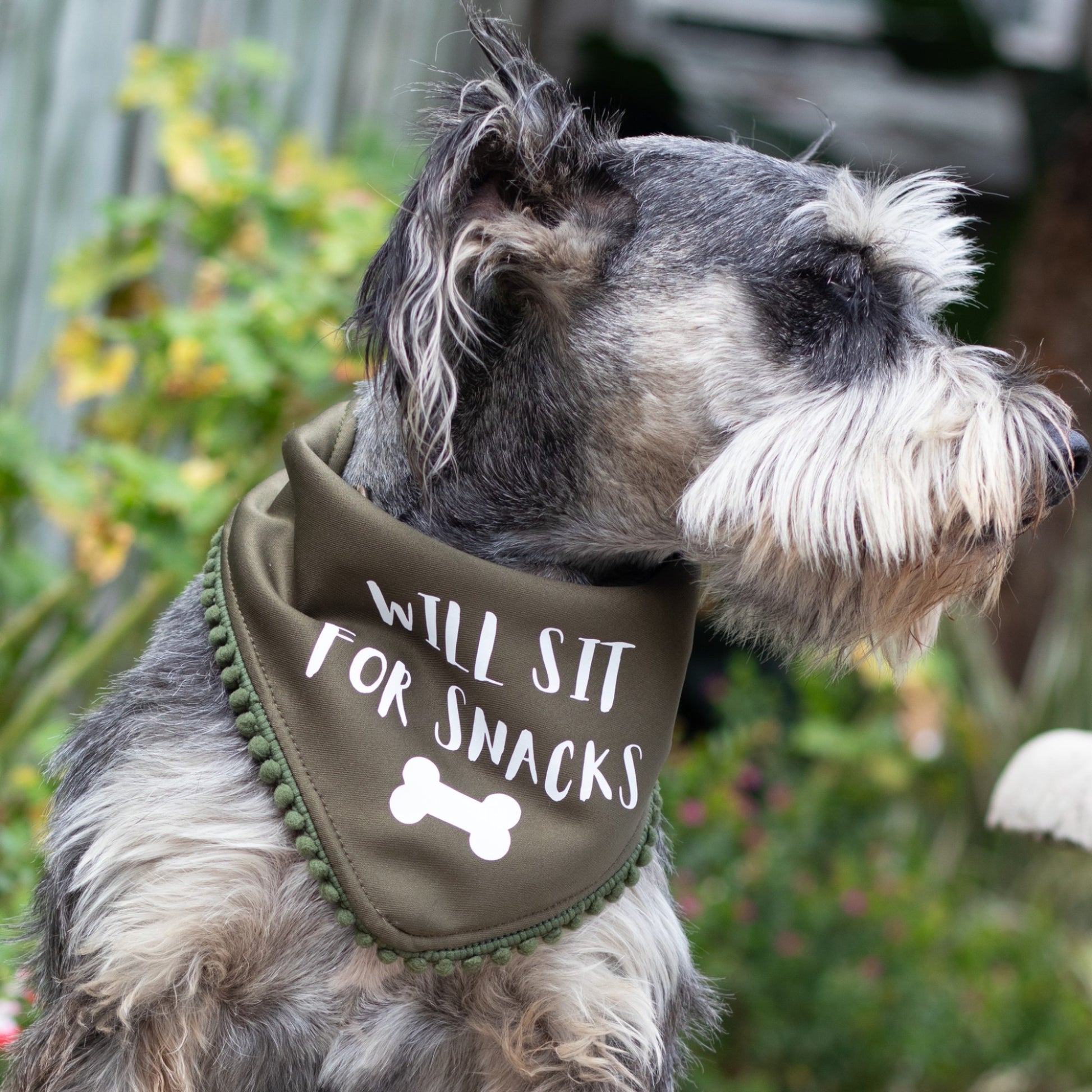 Uzakuhlalela iSnacks Bandanna