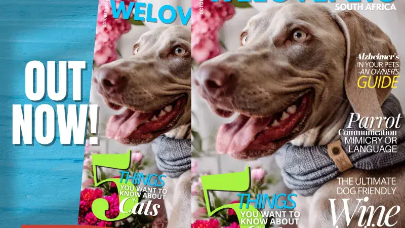 Wild Mongoo Pets: WeLovePets Magazine