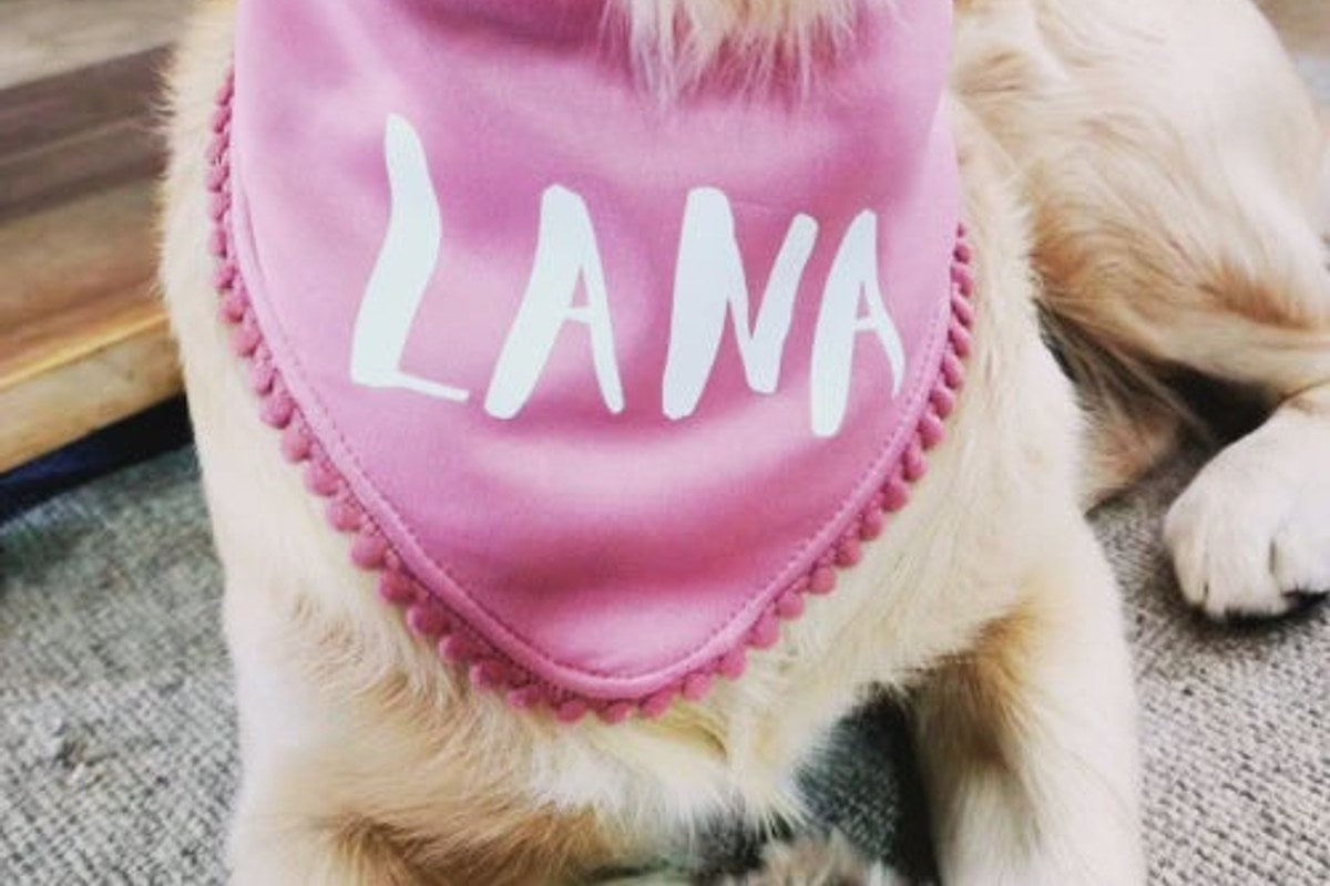 A golden retriever wearing a pink Wild Mongoo bandanna with the name LANA printed on it in white handwritten lettering