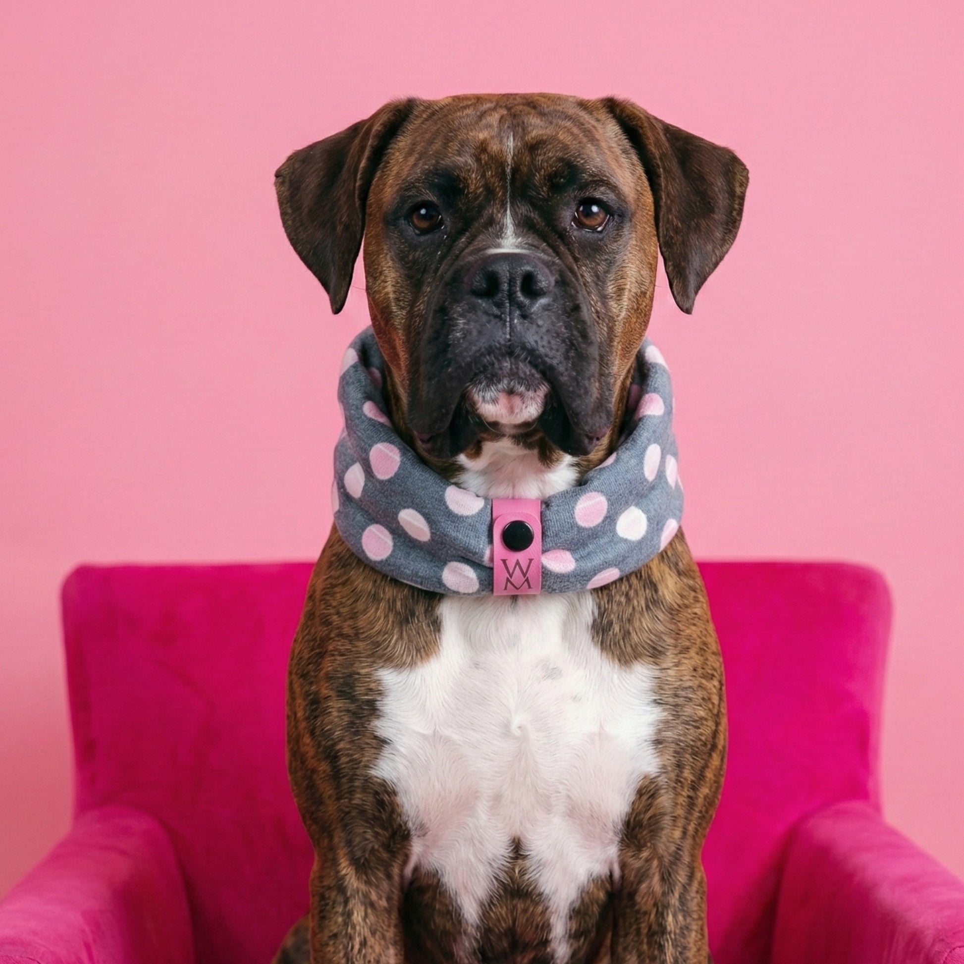 Ball is Life Snuggle Scarf