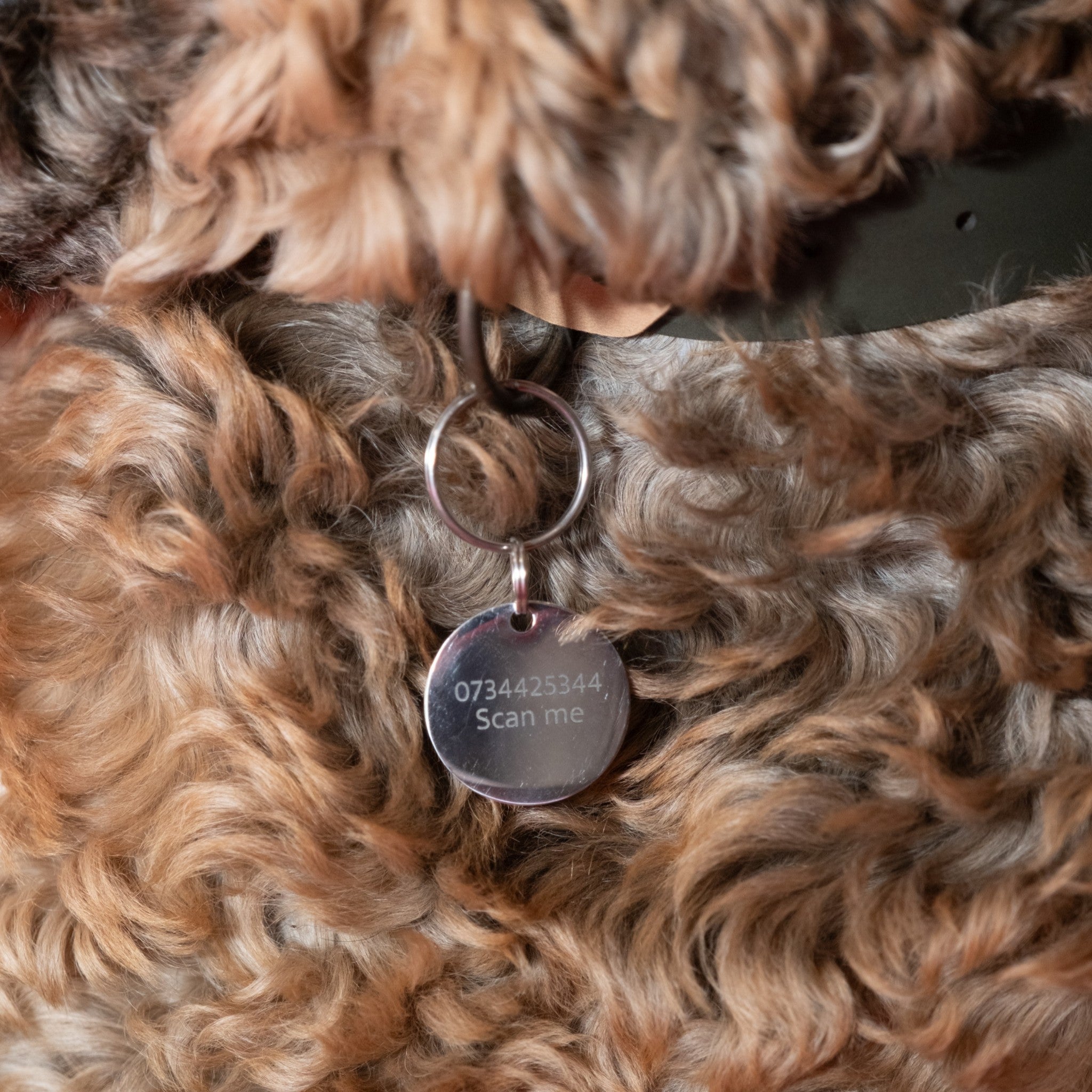 Round Dog Tag (Large)