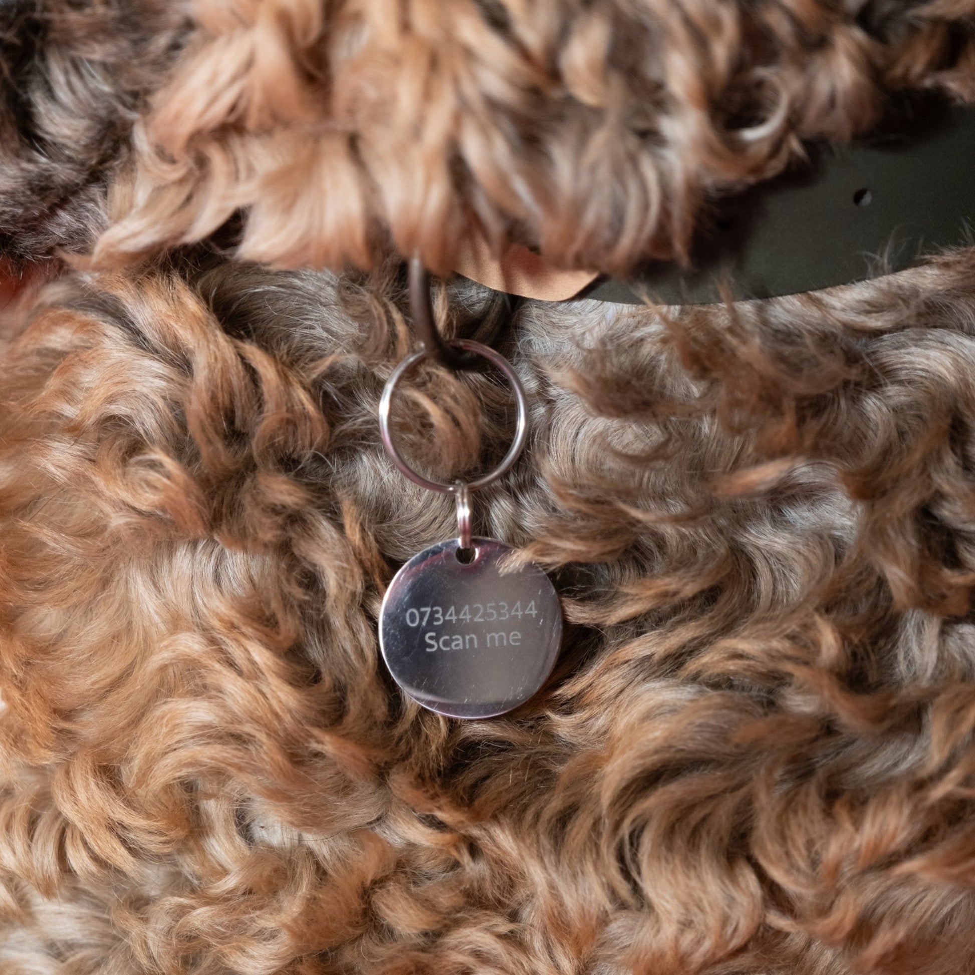 Round Dog Tag (Large)