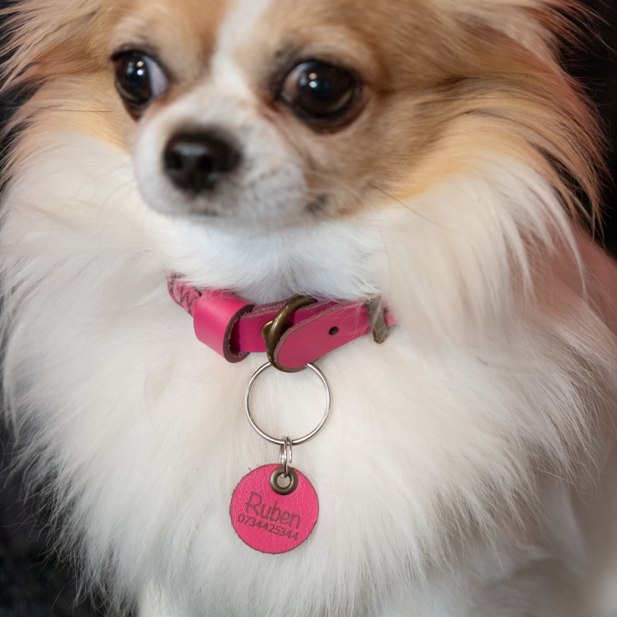 Leather ID Tag - Single