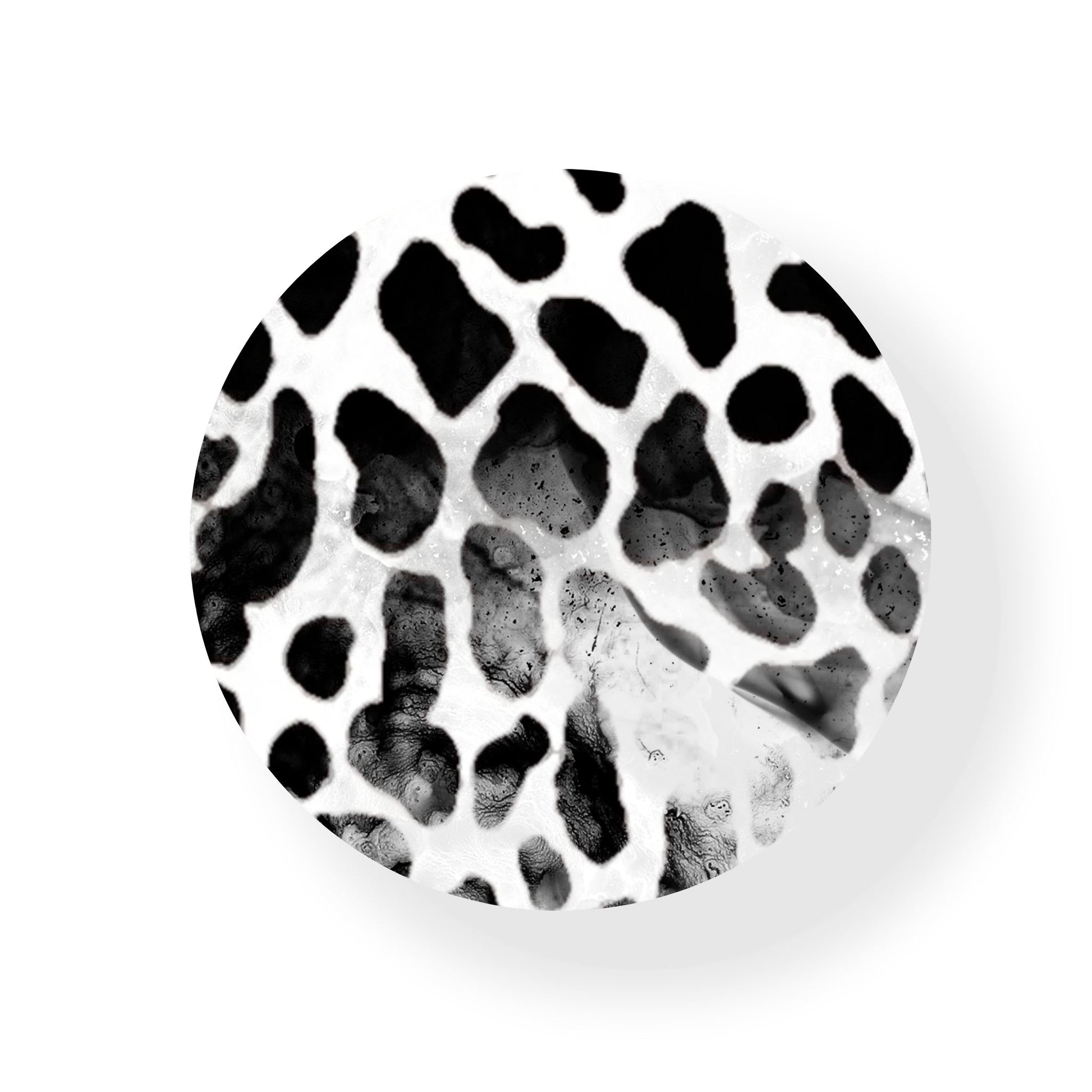 Animal Print Coaster