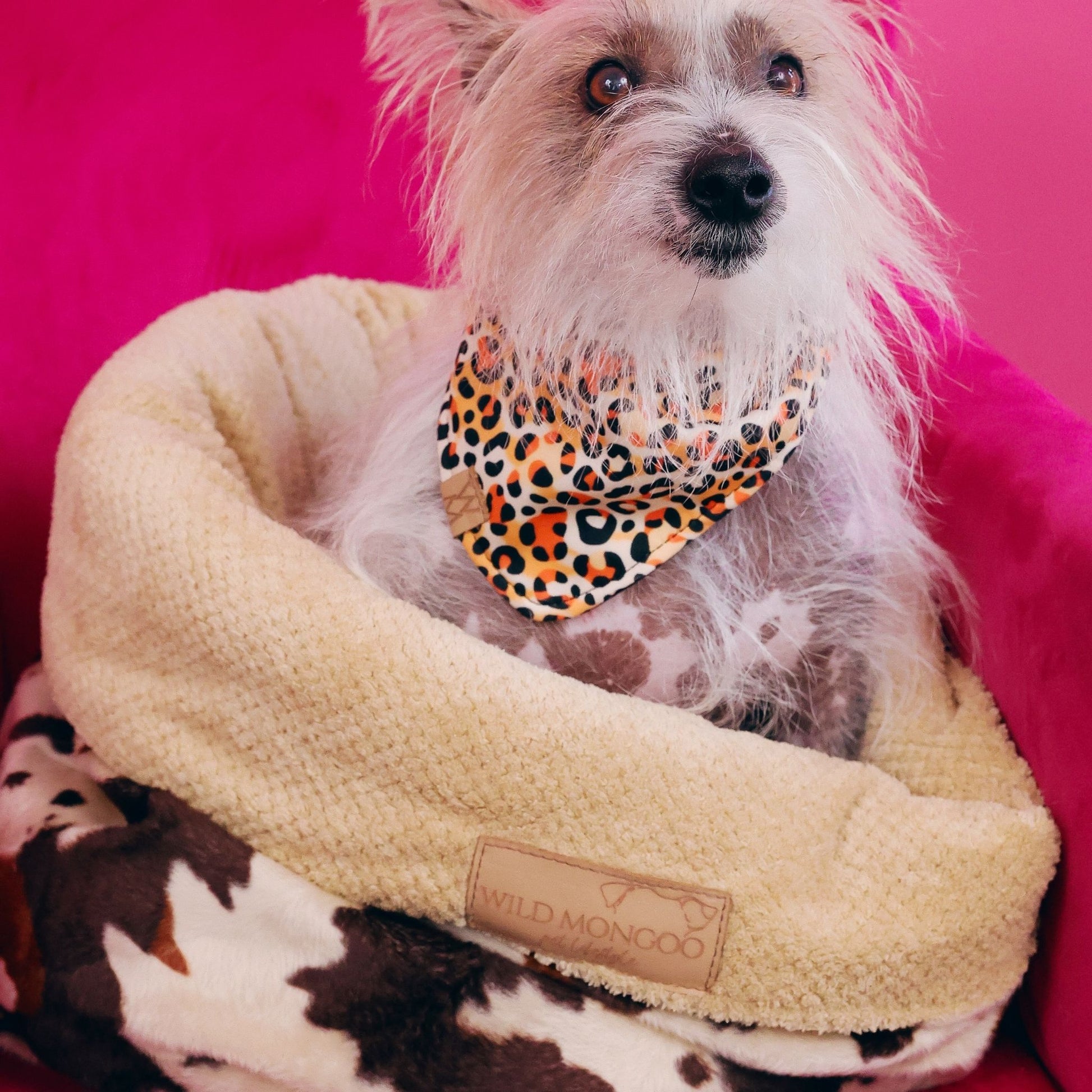 Animal Print Pet Bed