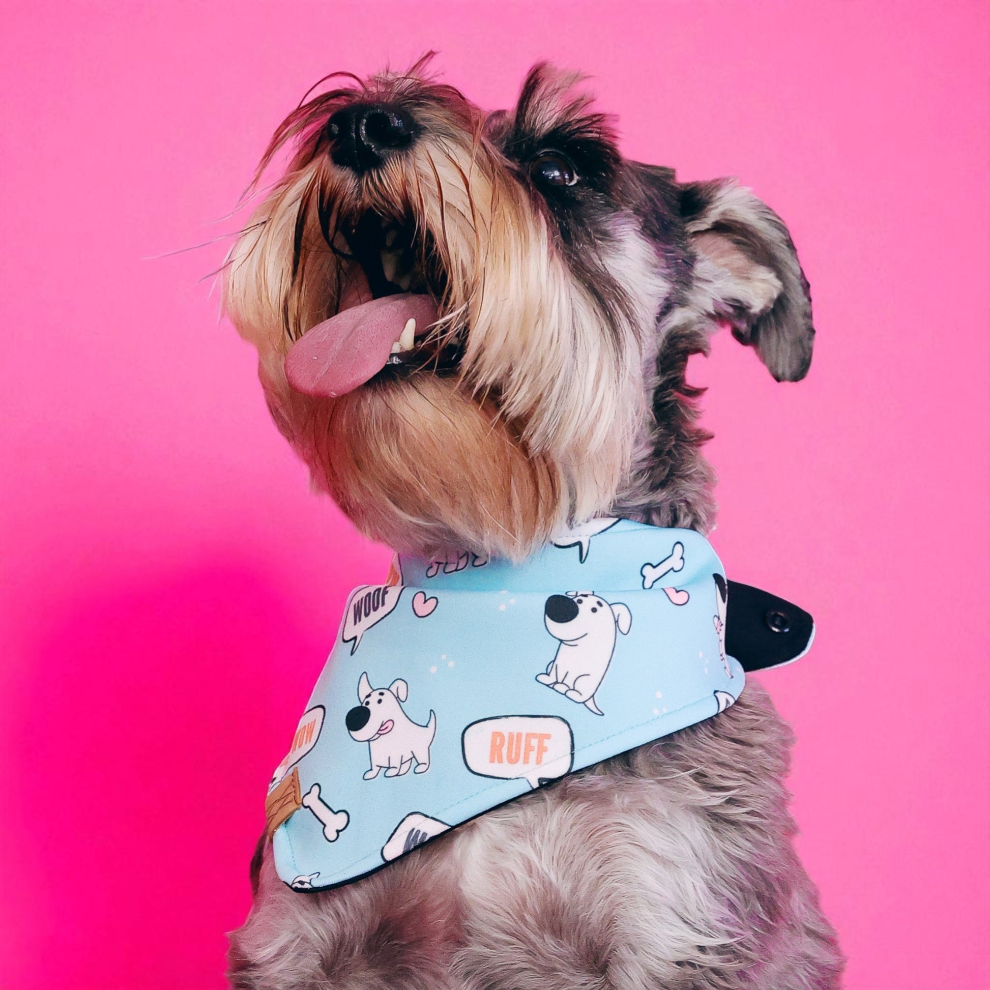 Bark Squad Bandanna