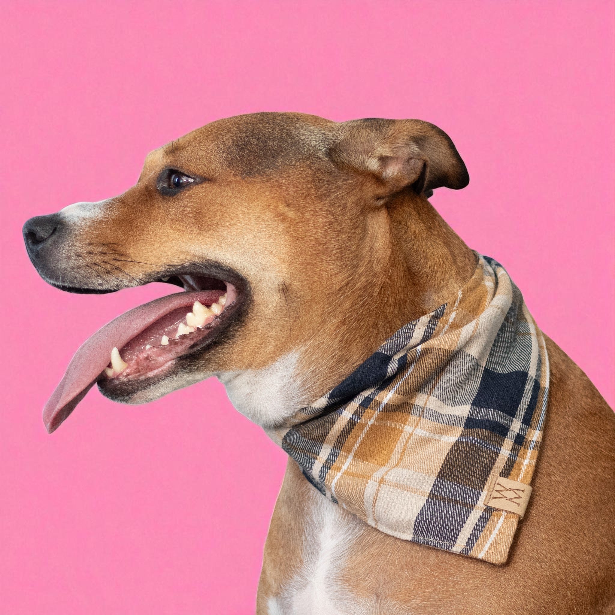 Barkside Plaid Bandanna
