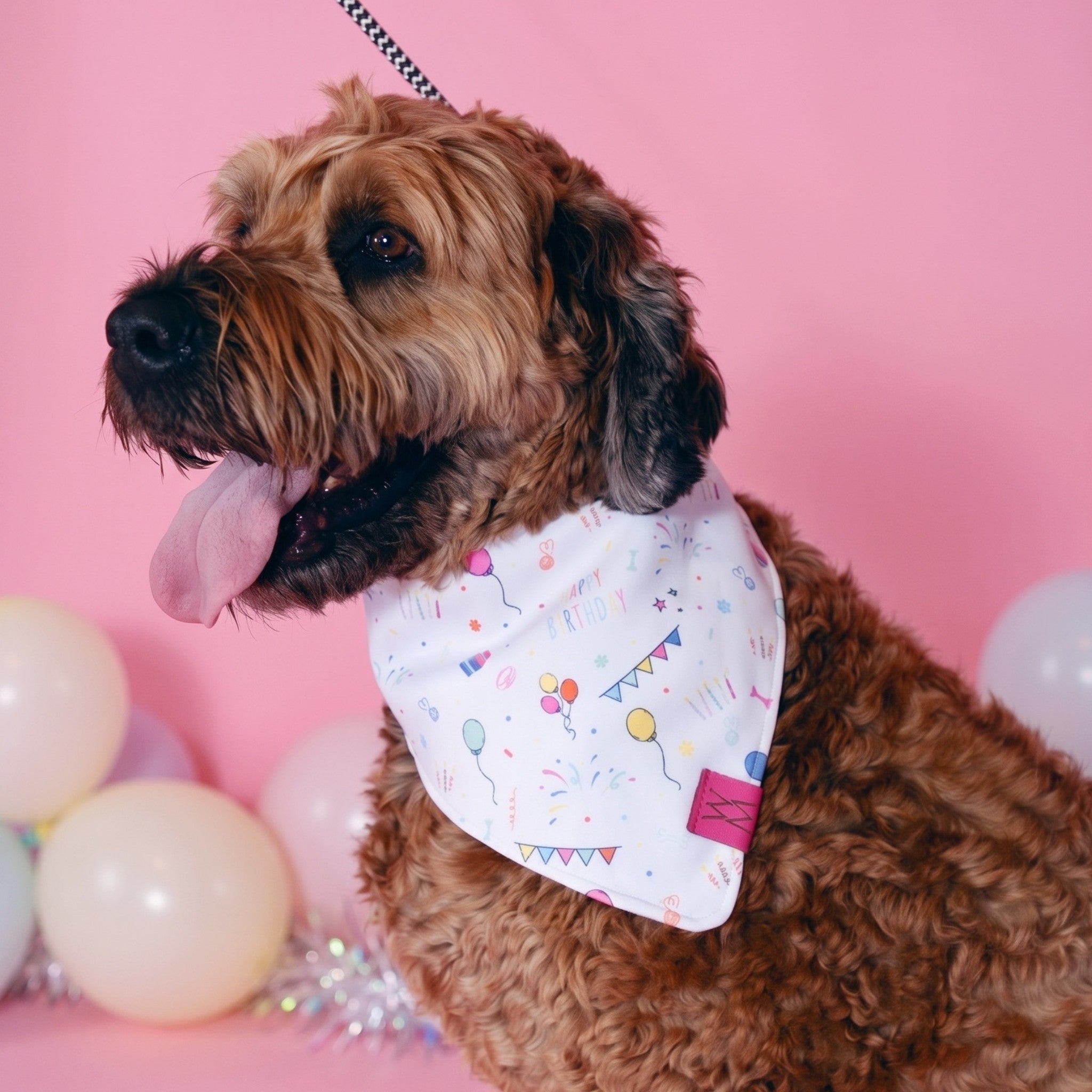 Birthday Bandanna