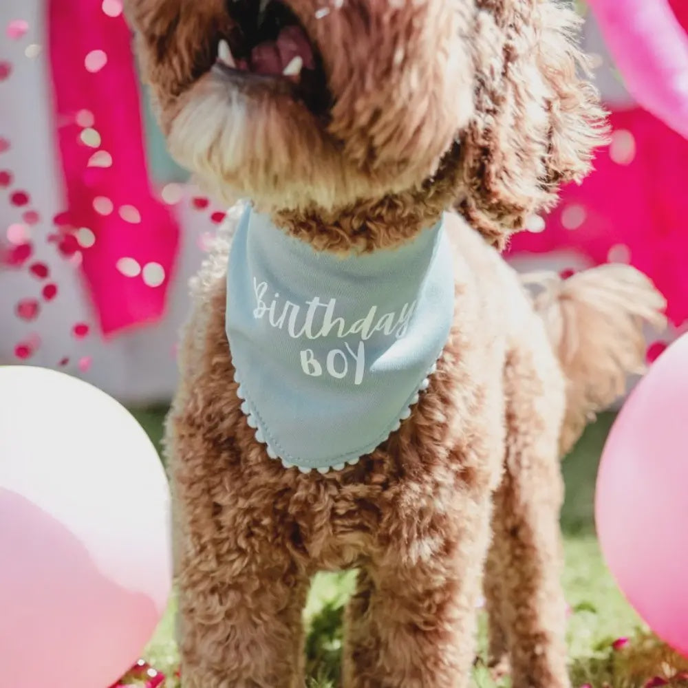 Birthday Boy Bandanna