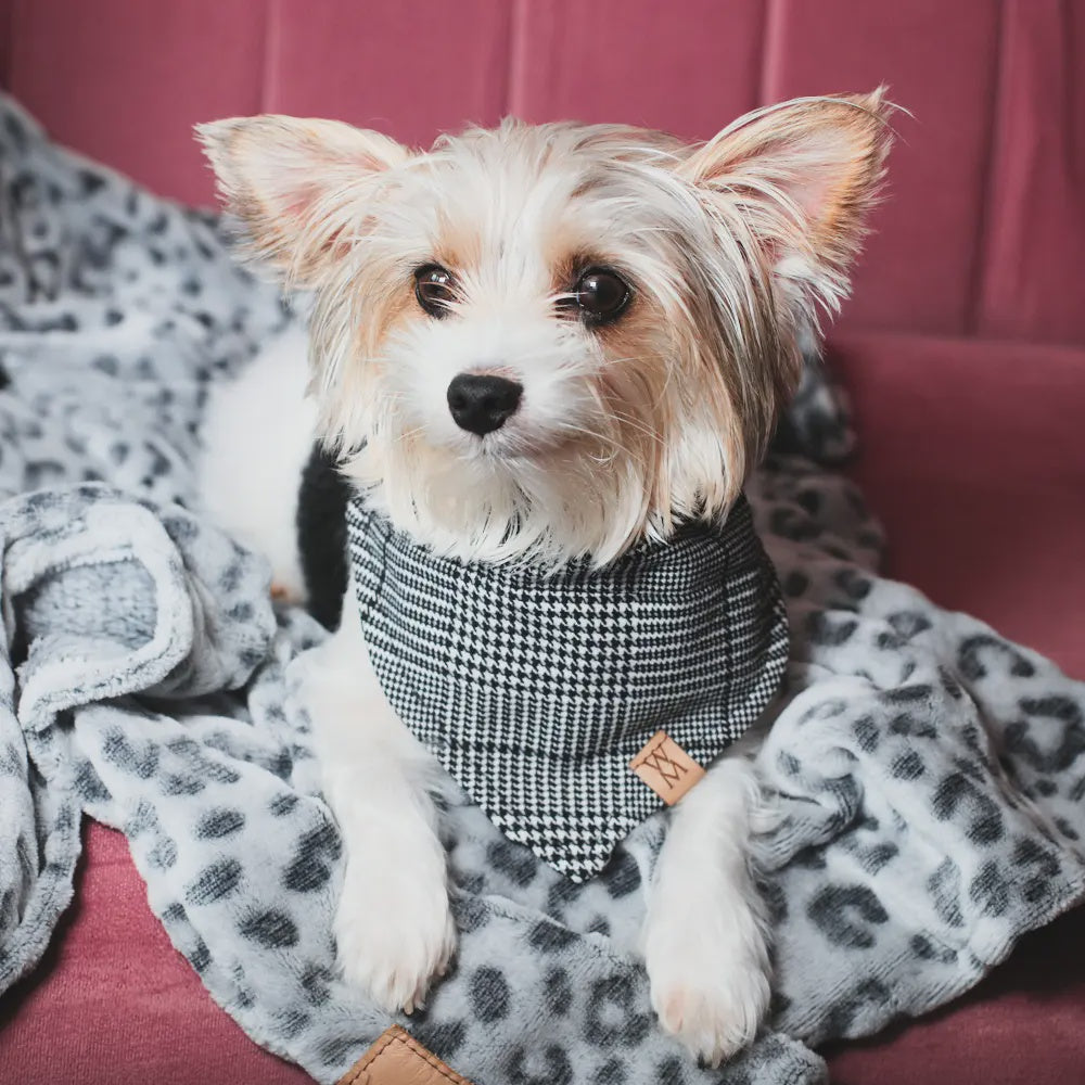 Check it out Bandanna