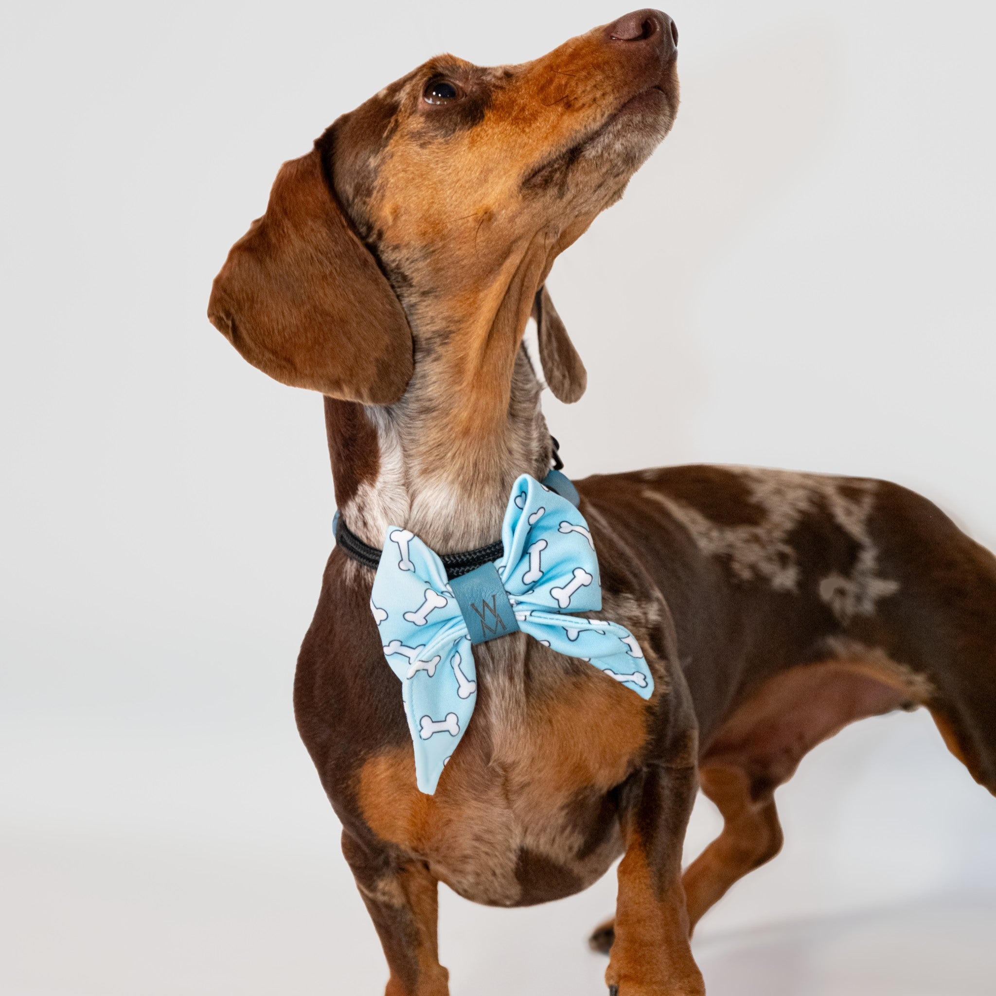 Bone Appétit Sailor Bowtie