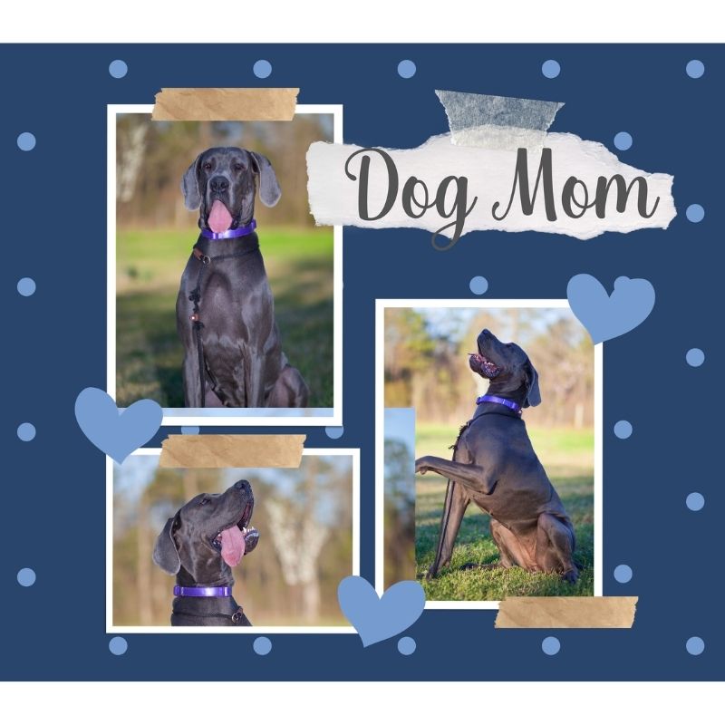 Blue Dog Mom Personalised Tumbler