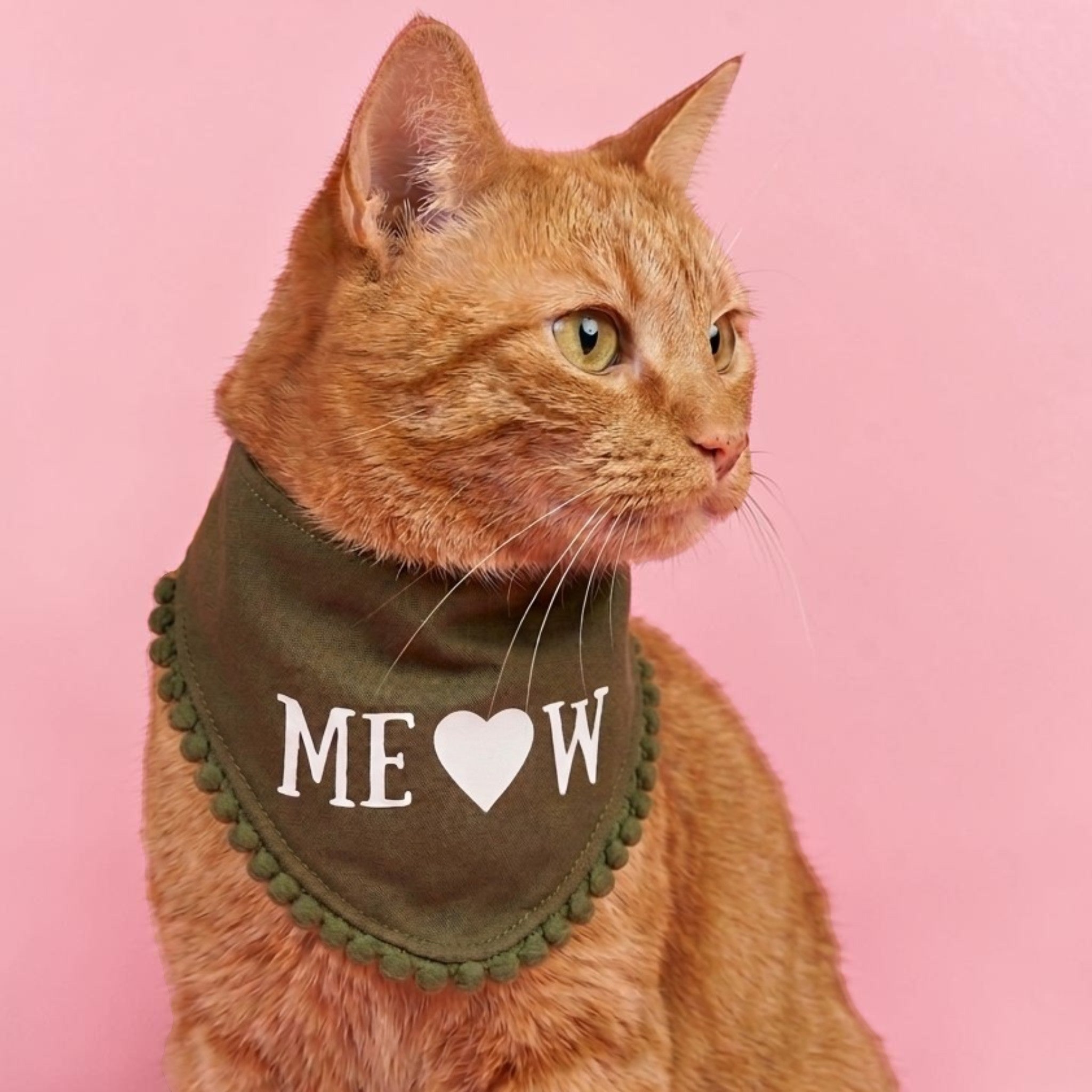 Meow Cat Bandanna