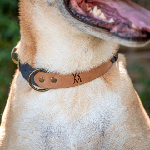 Classic Leather Collar