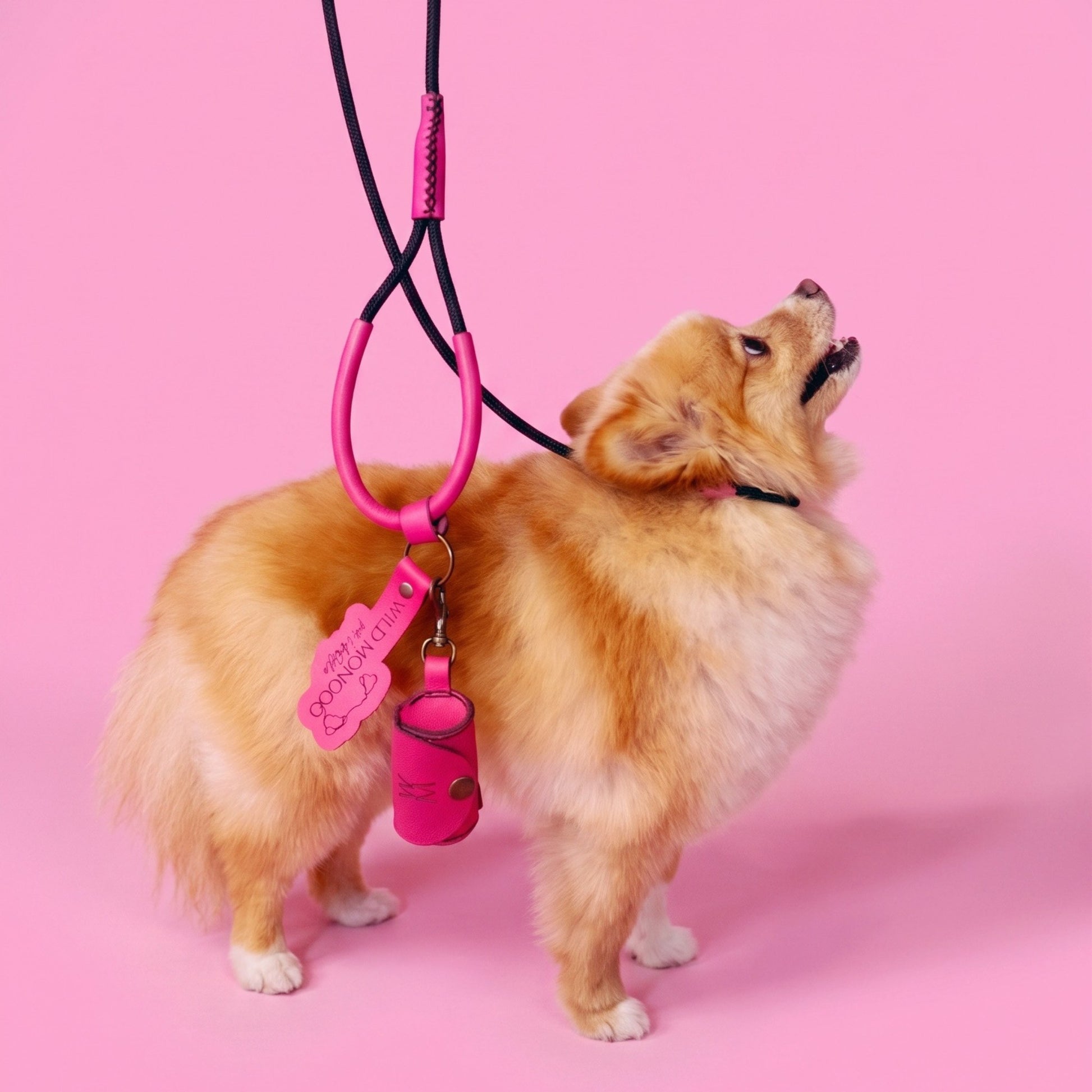 Cheerful Stroller Leash