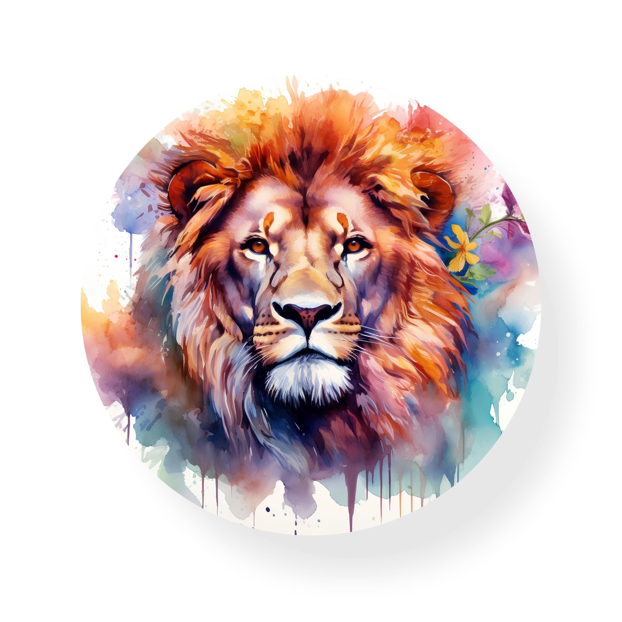 Colourful Lion Coaster