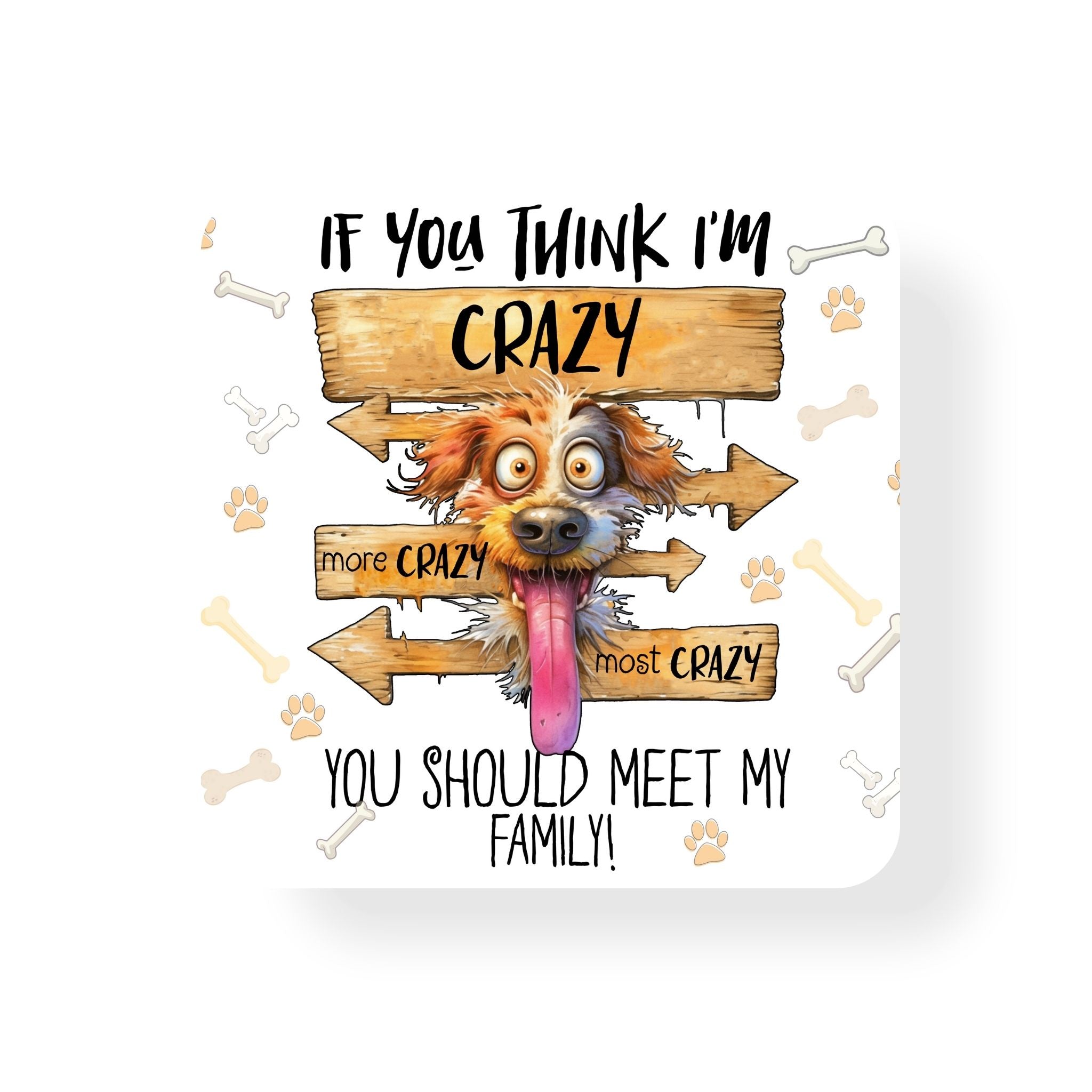 Crazy Family Coaster