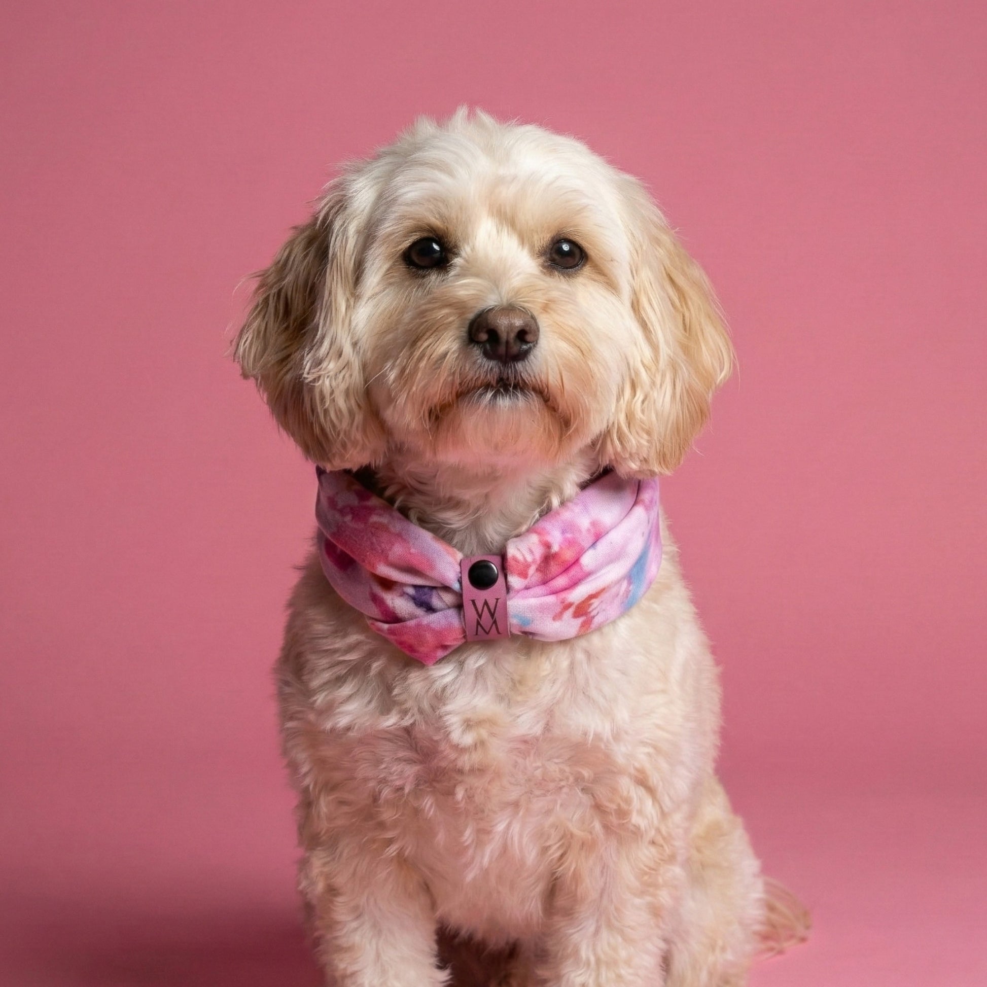 Paint Me Wild Snuggle Scarf