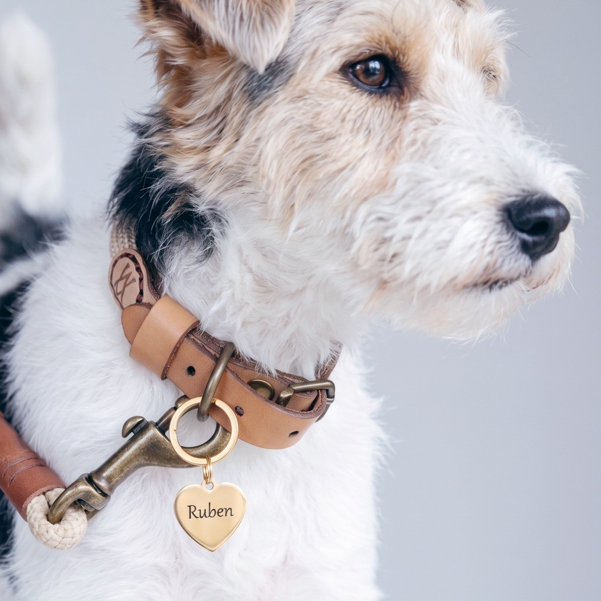 Gold Heart Pet Tag
