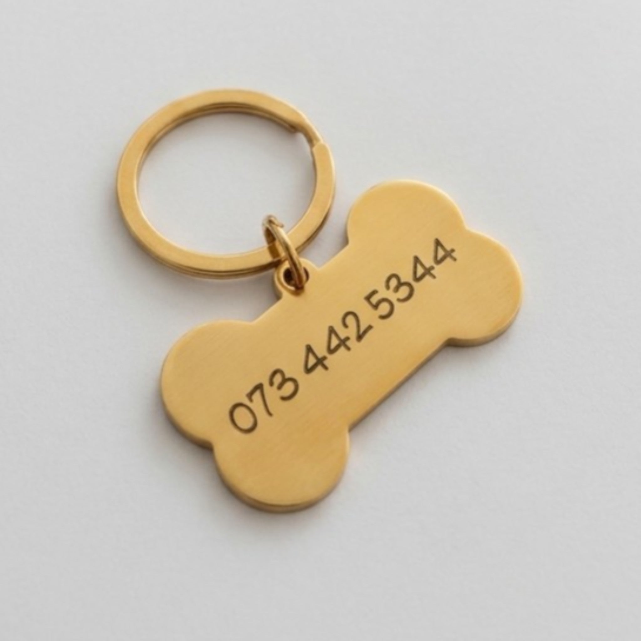 Large Bone Pet Tag
