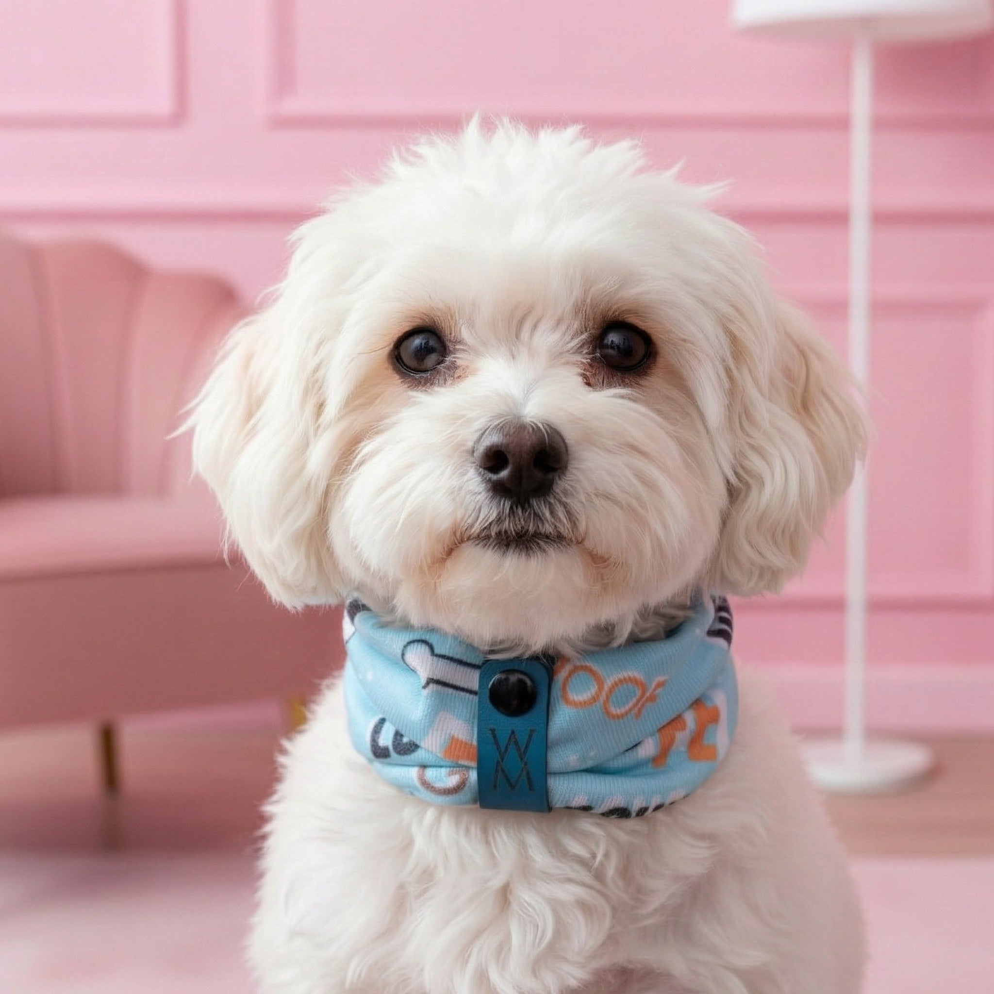 Good Boy/Girl Knit Snuggle Scarf