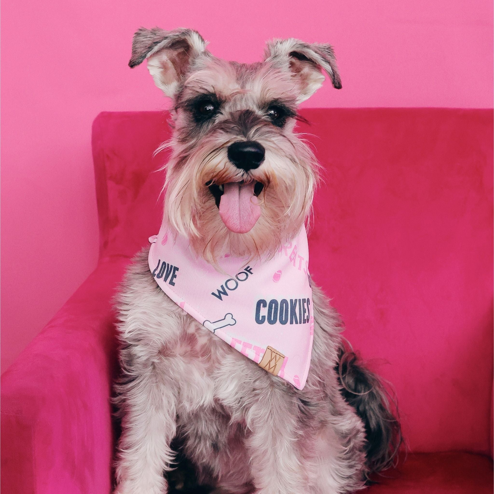 Certified Good Boy/Girl Bandanna