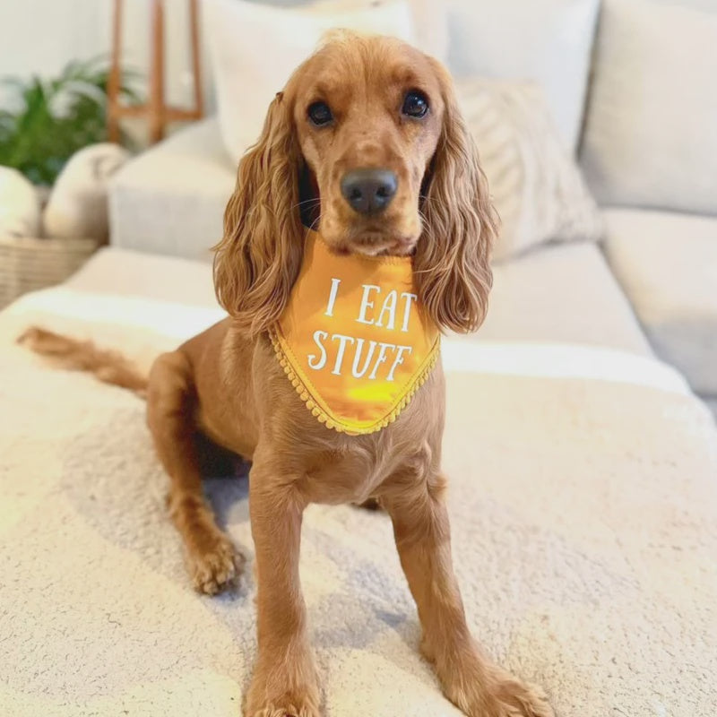 I Eat Stuff Bandanna