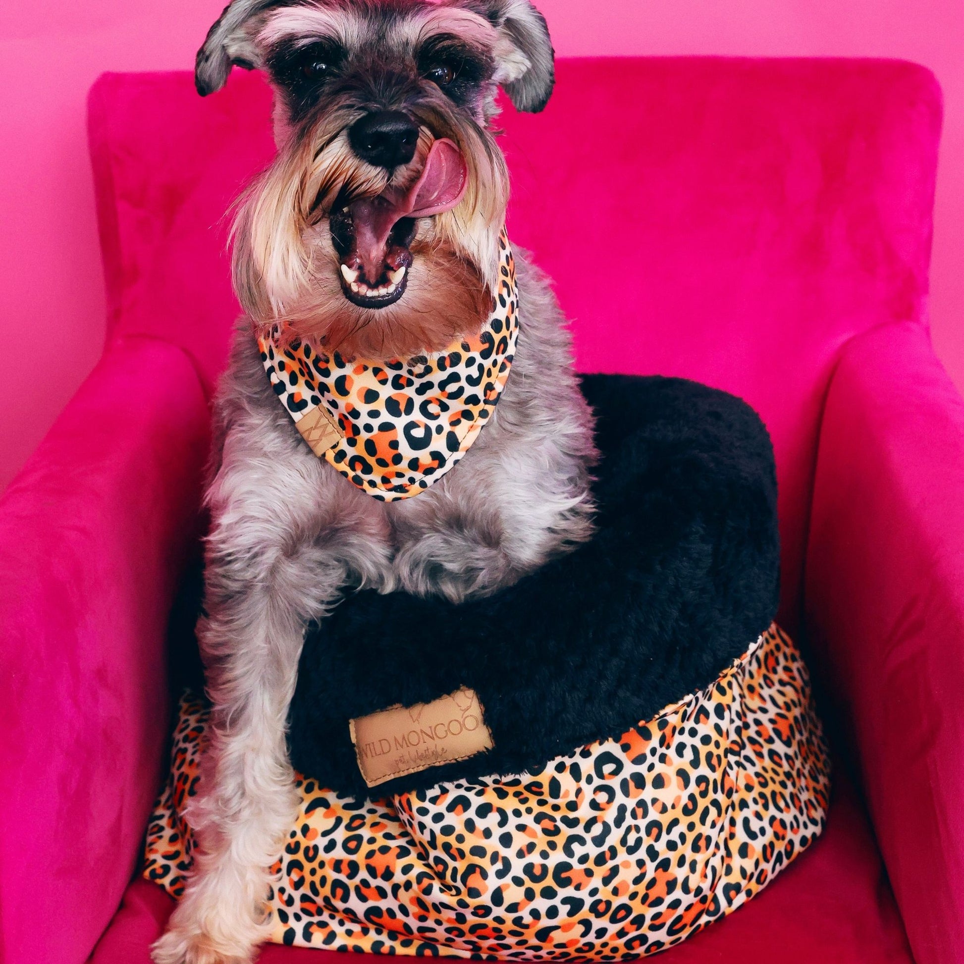 Jungle Juice Pet Bed