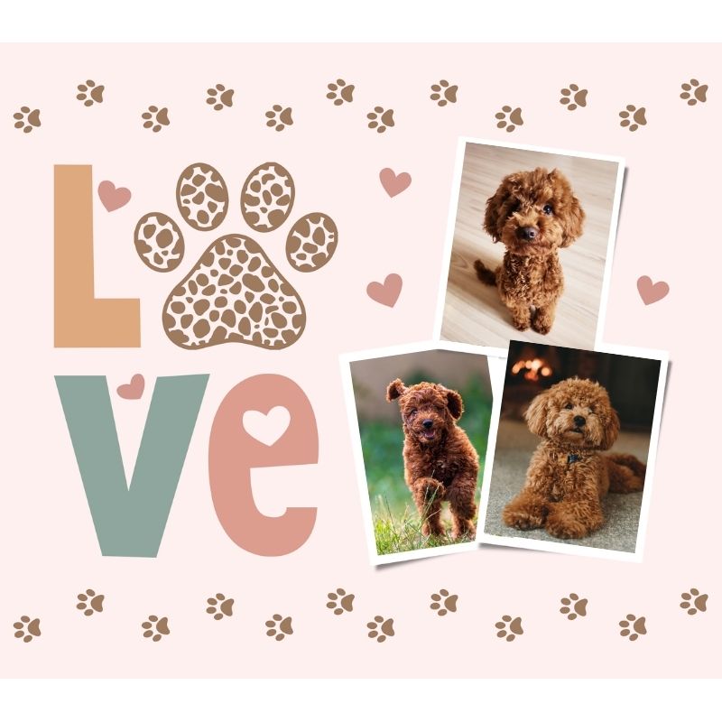 Love Your Pet Personalised Tumbler