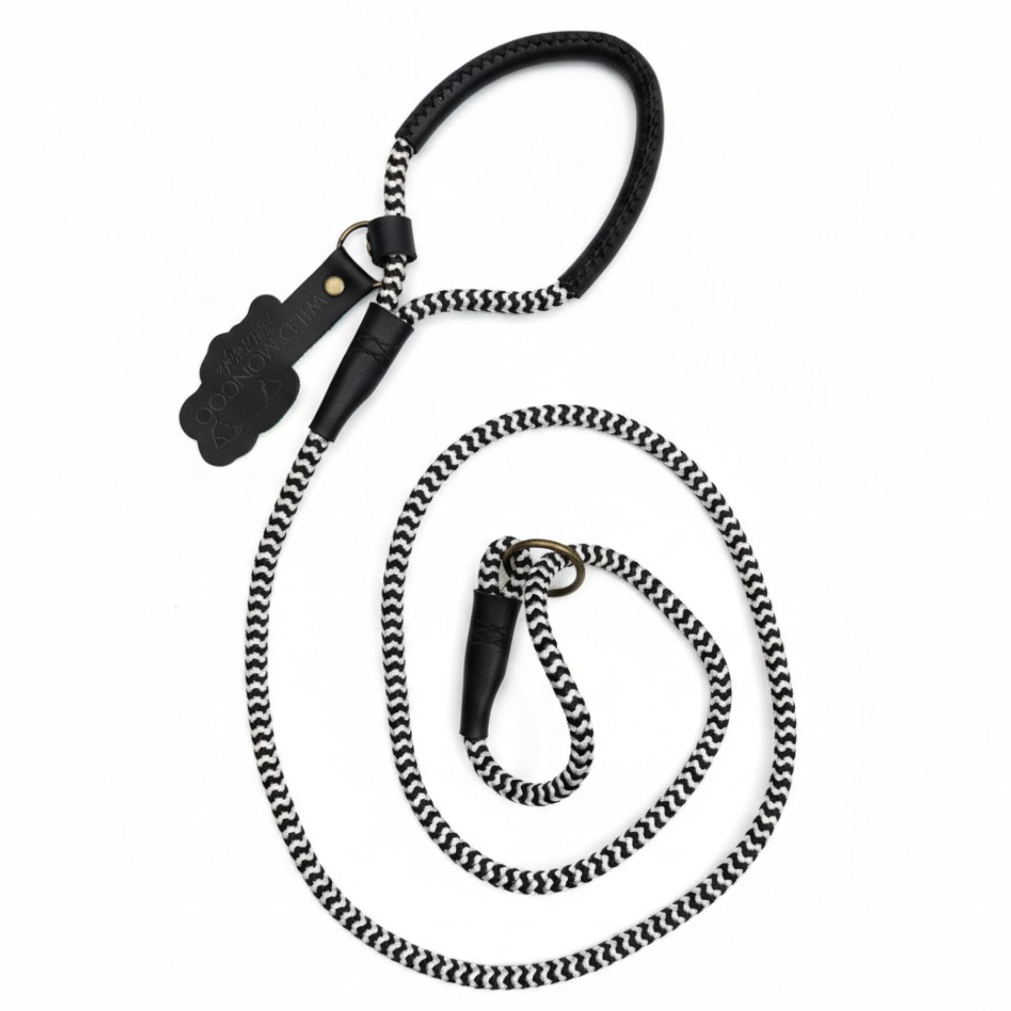 Monochromatic Active Leash