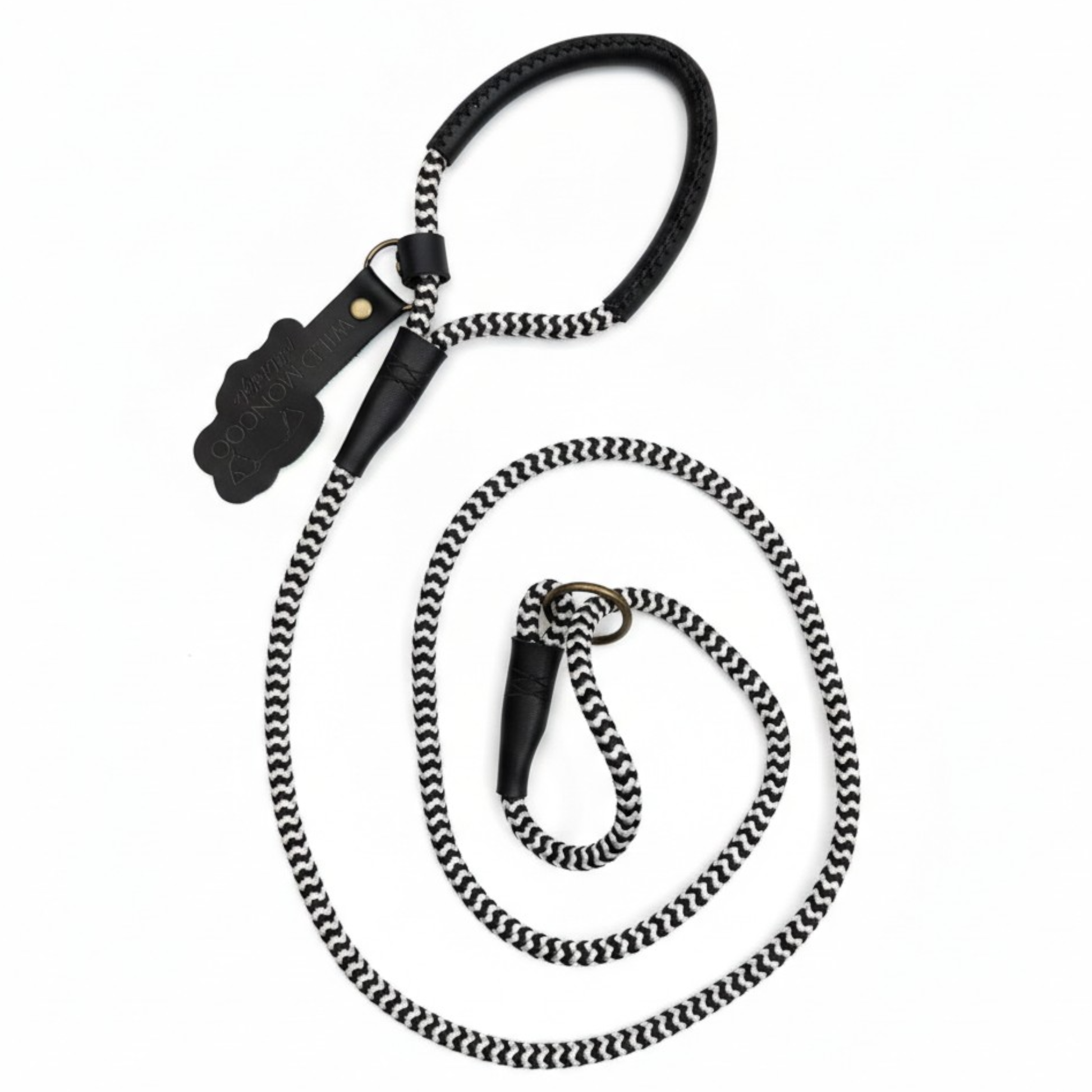 Monochromatic Active Leash