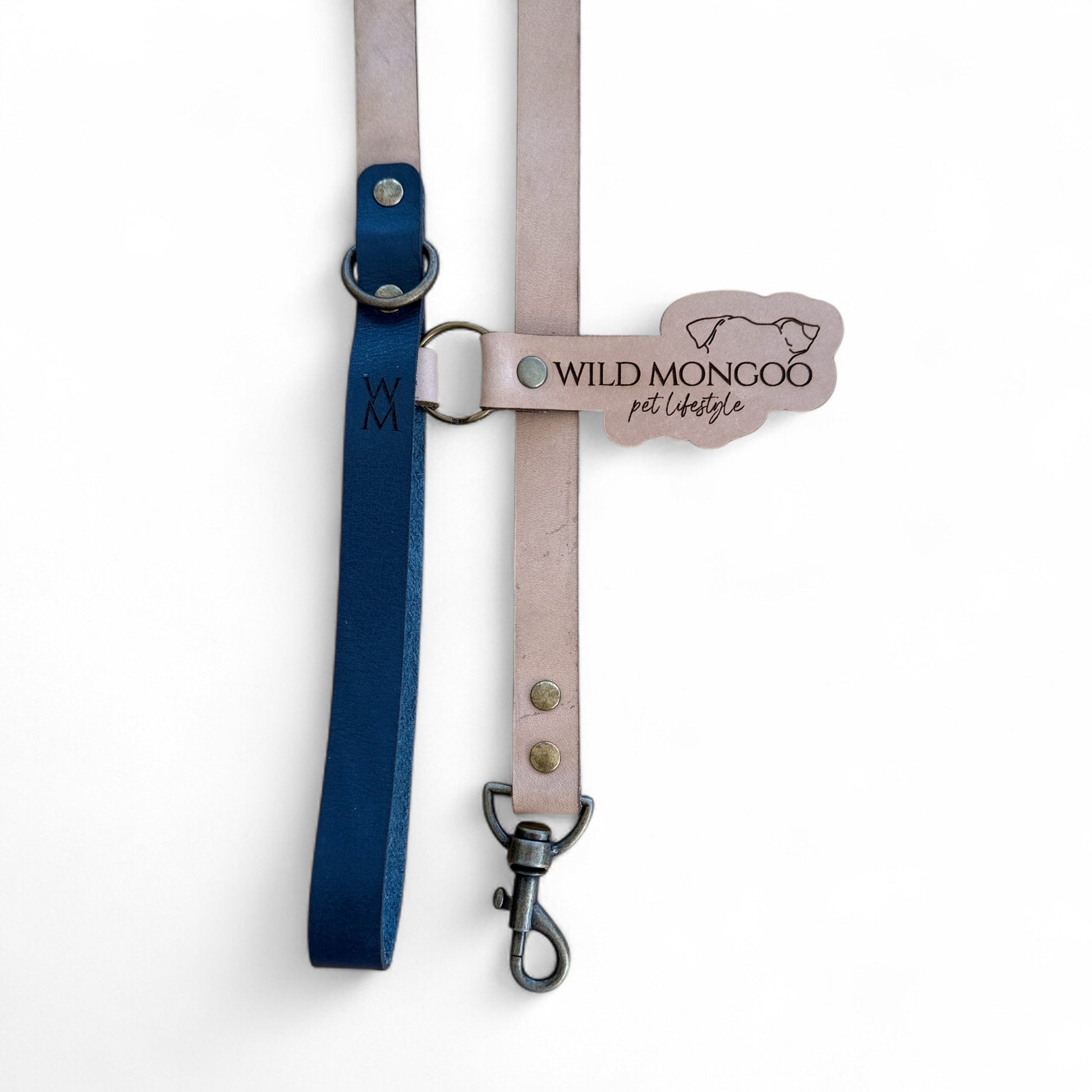 Classic Leather Leash