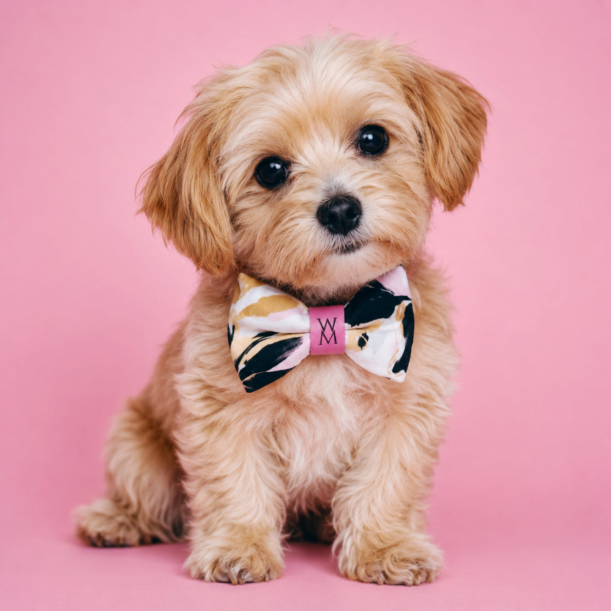 Paw De Fleur Bowtie