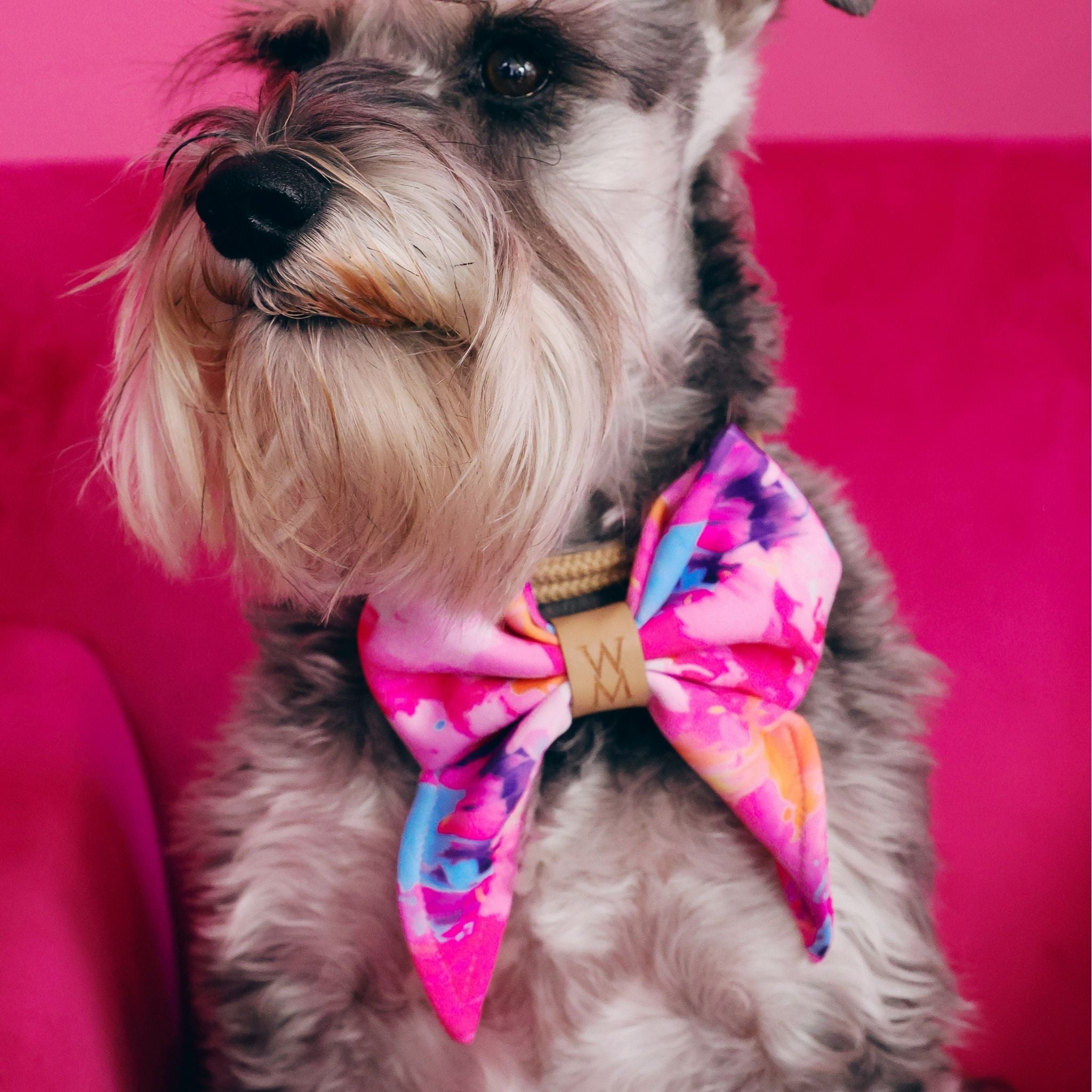Paint Me Wild Sailor Bow Tie