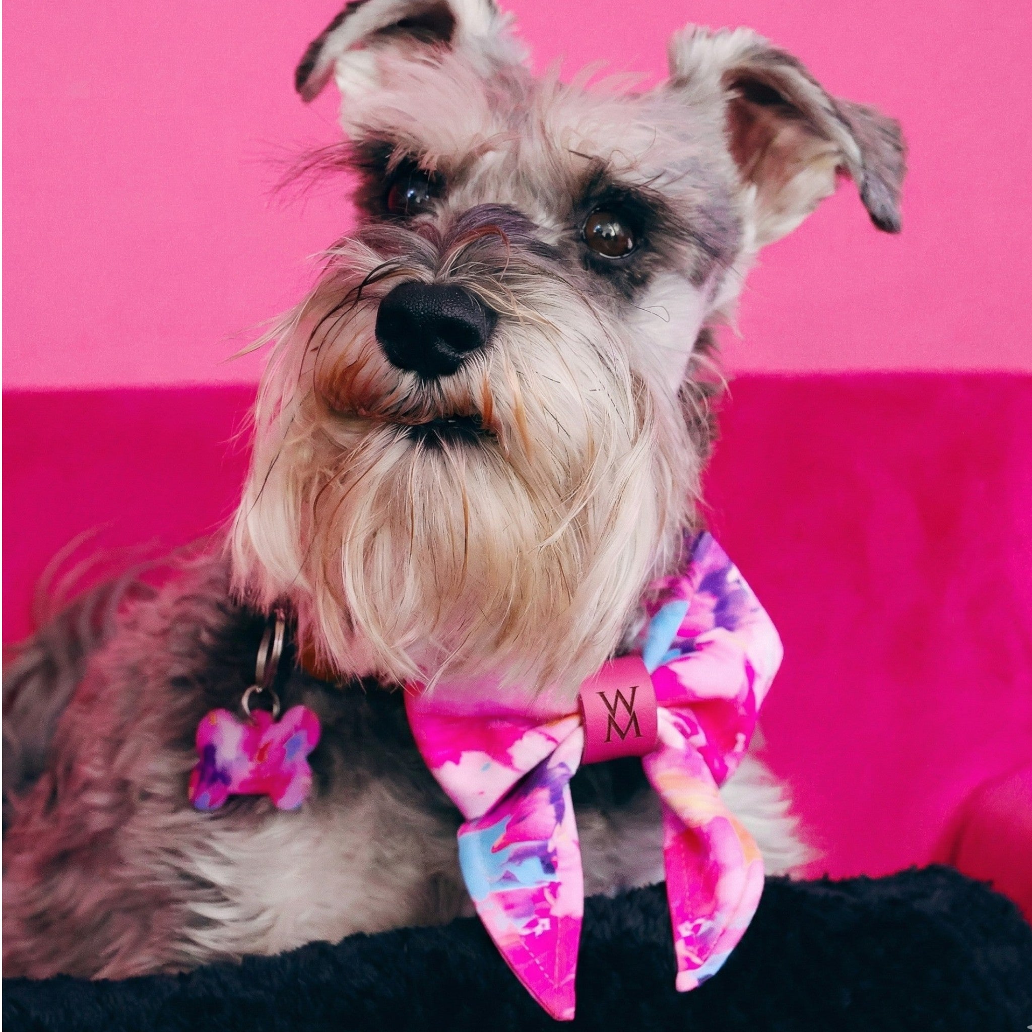 Paint Me Wild Sailor Bow Tie