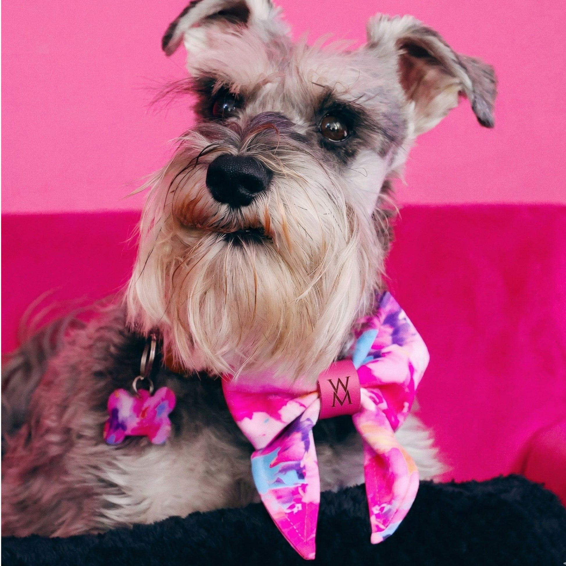 Paint Me Wild Sailor Bow Tie