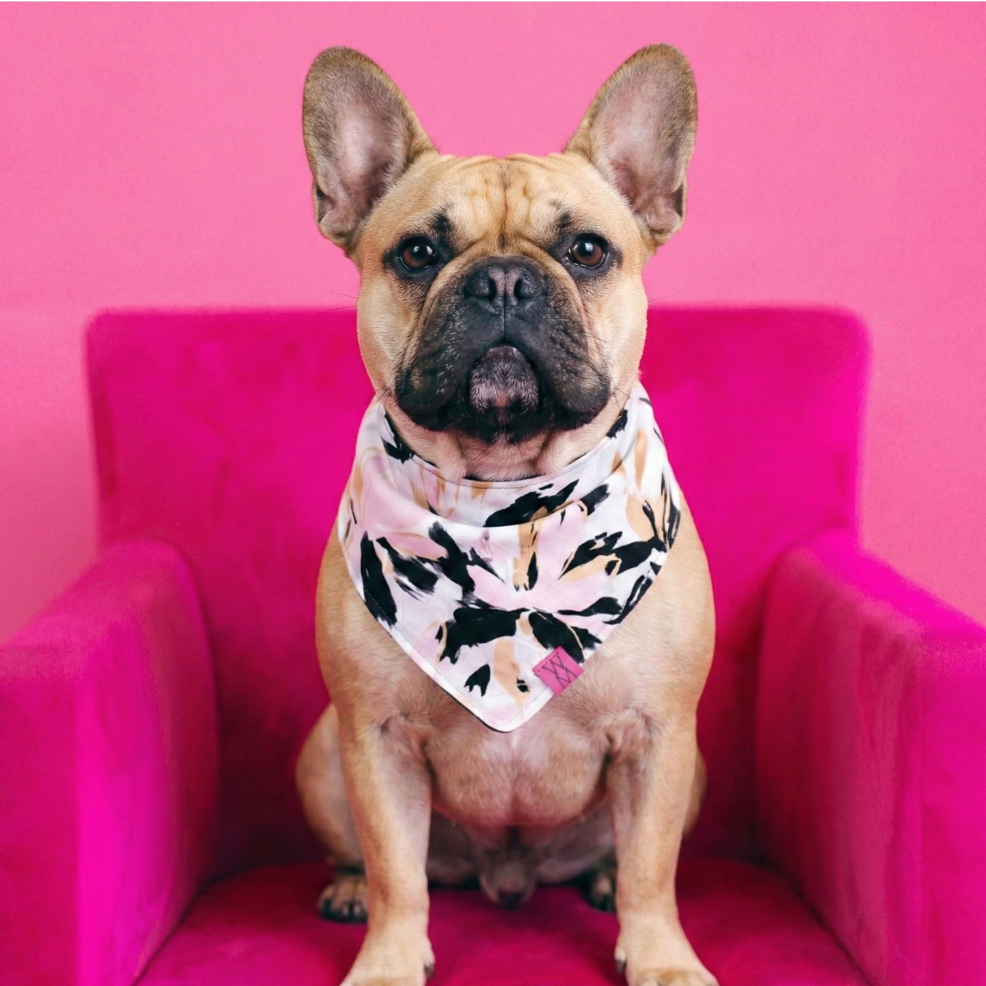 Paw De Fleur Banndanna