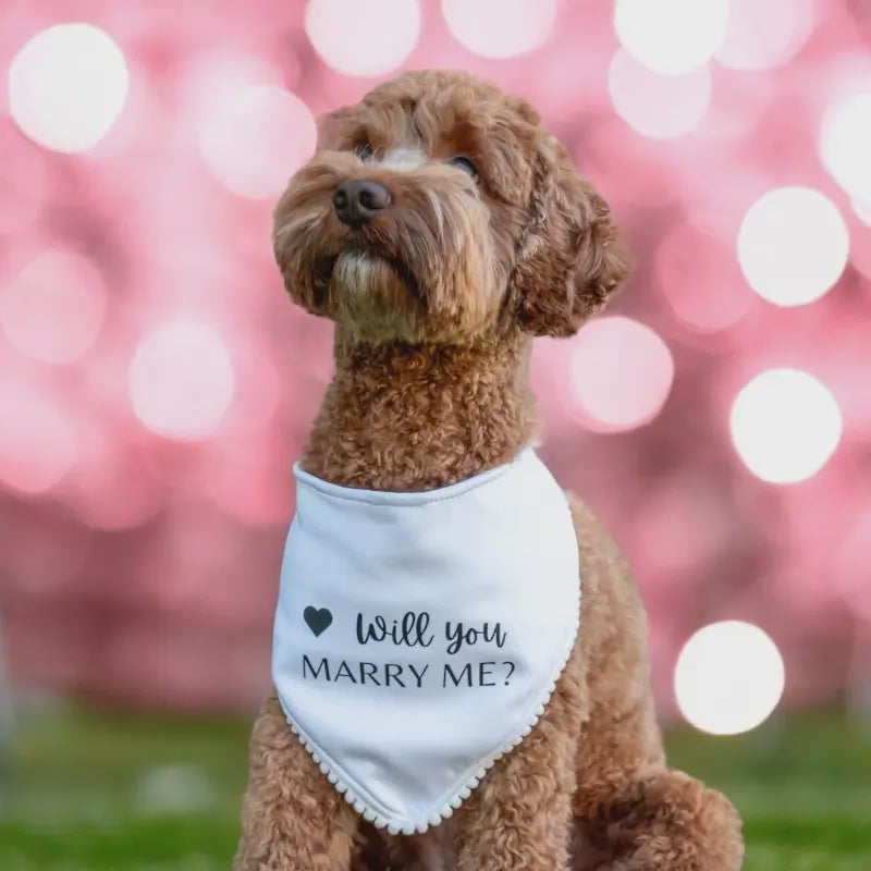 Will You Marry Me Bandanna