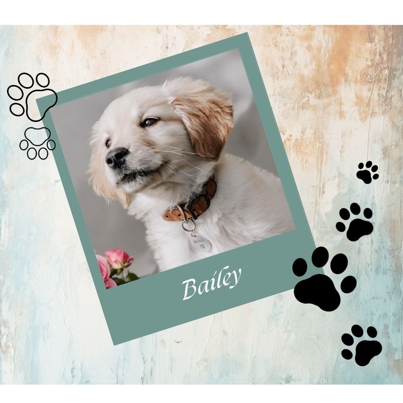 Pet Personalised Tumbler