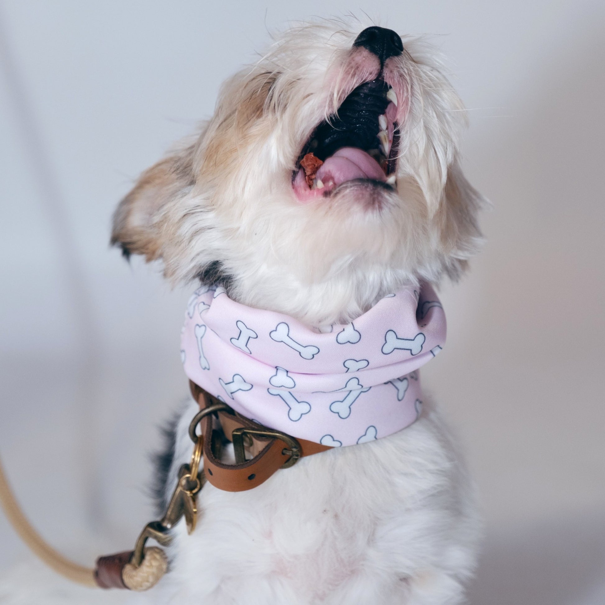 Bone Appétit Scuba Snuggle Scarf