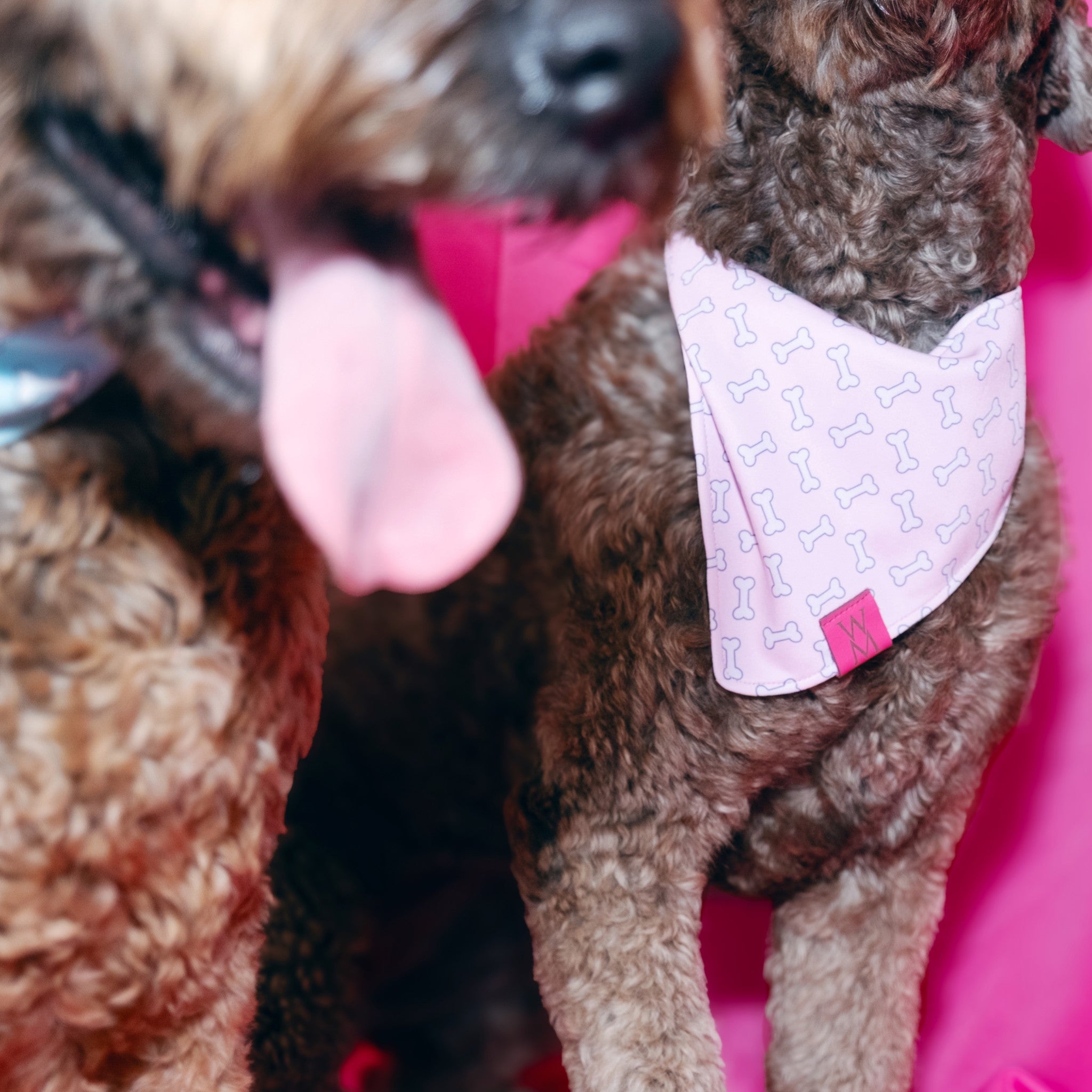 Bone Appétit Bandanna
