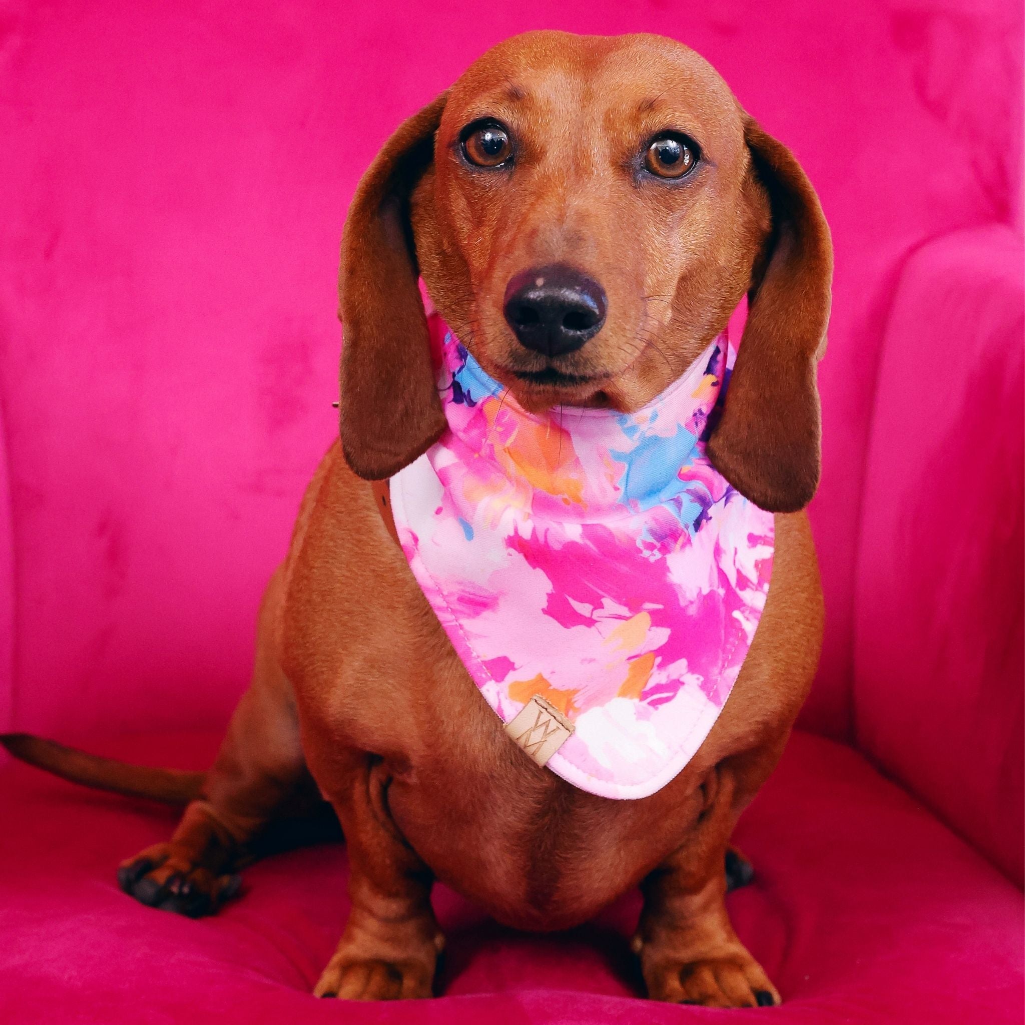 Paint Me Wild Bandanna